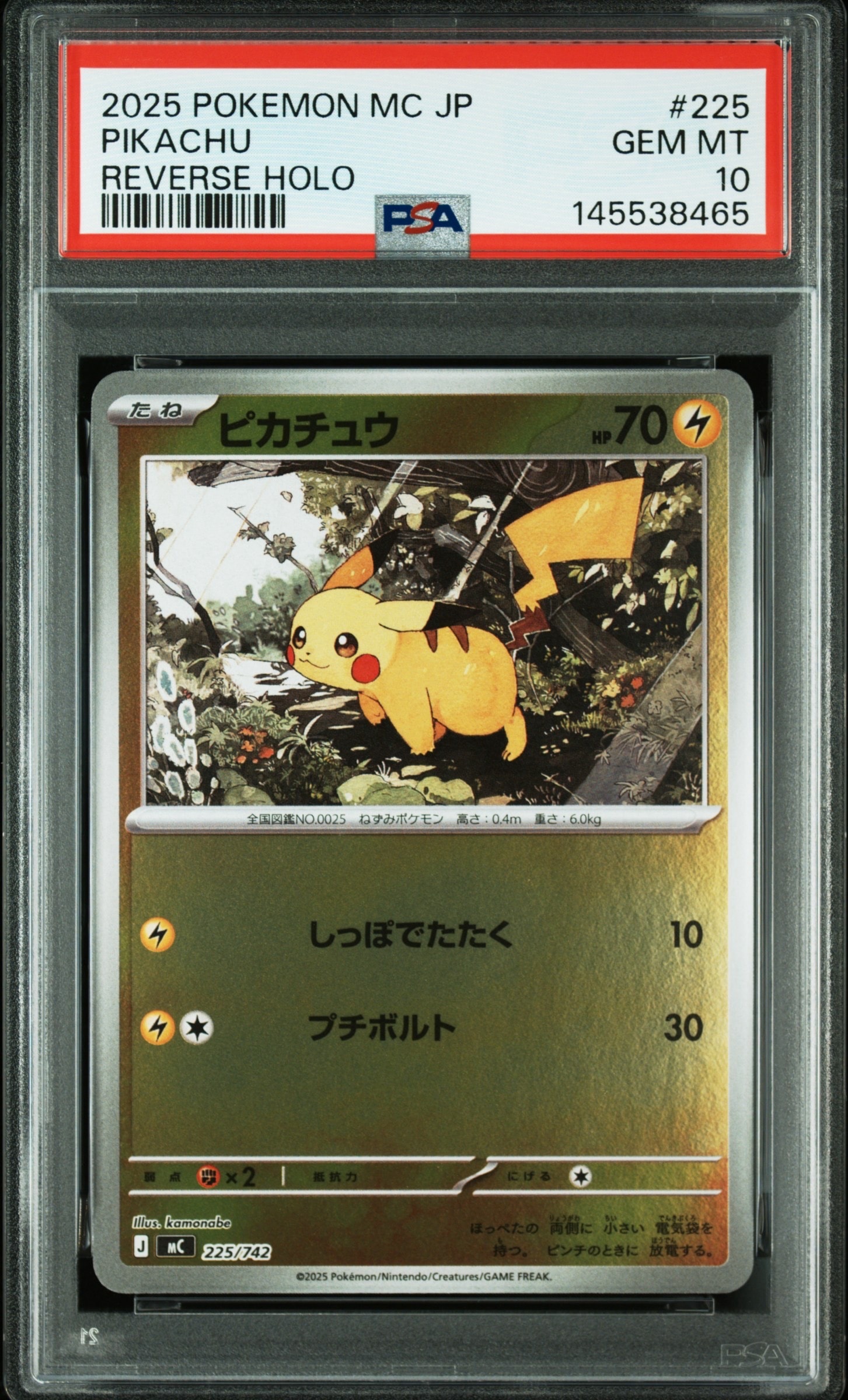 ポケモンカードゲーム カナザワのピカチュウ: プロモ (マークなし