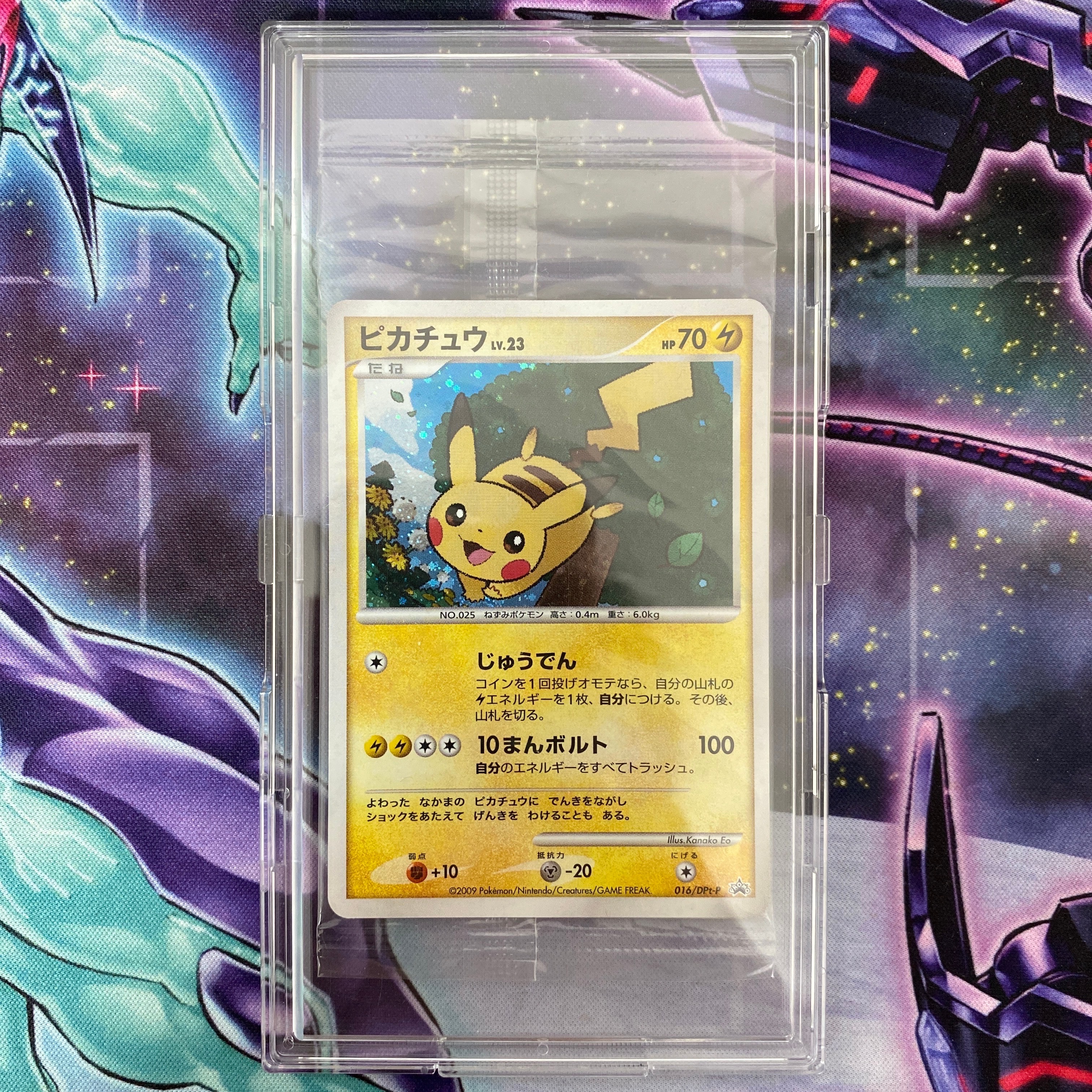 ピカチュウ: プロモ[DPt-P 016/DPt-P](プロモーションカード「DPt-P」)