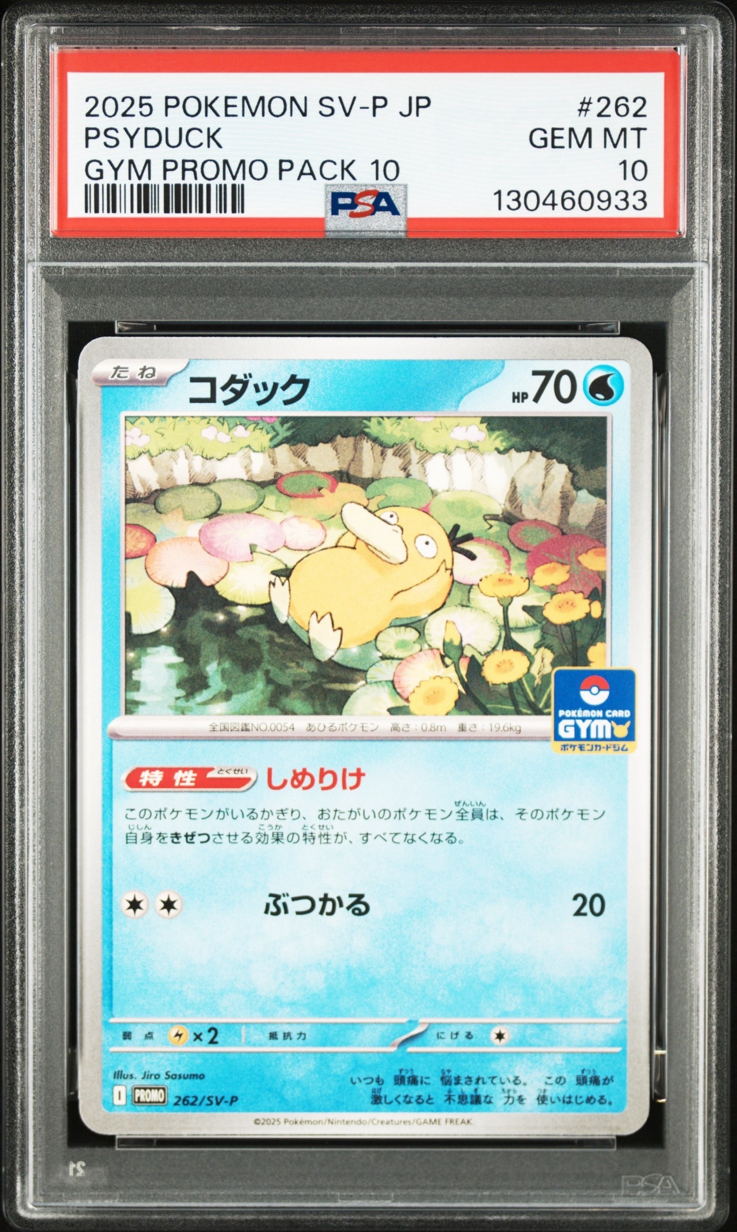 コダック P [SV-P 262](プロモカードパック「第10弾」)
