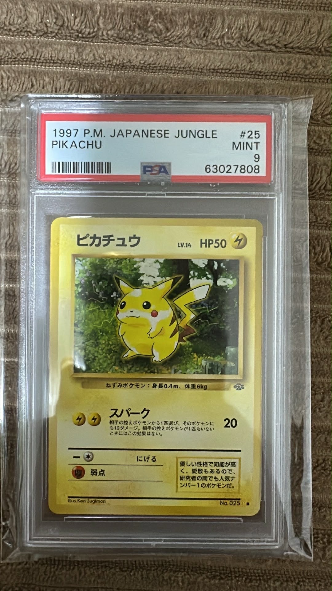 ピカチュウ ● : 旧裏 [PMCG2 No.025](拡張パック「ポケモンジャングル」)