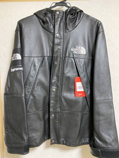 Supreme x The North Face Leather Mountain Parka "Black"