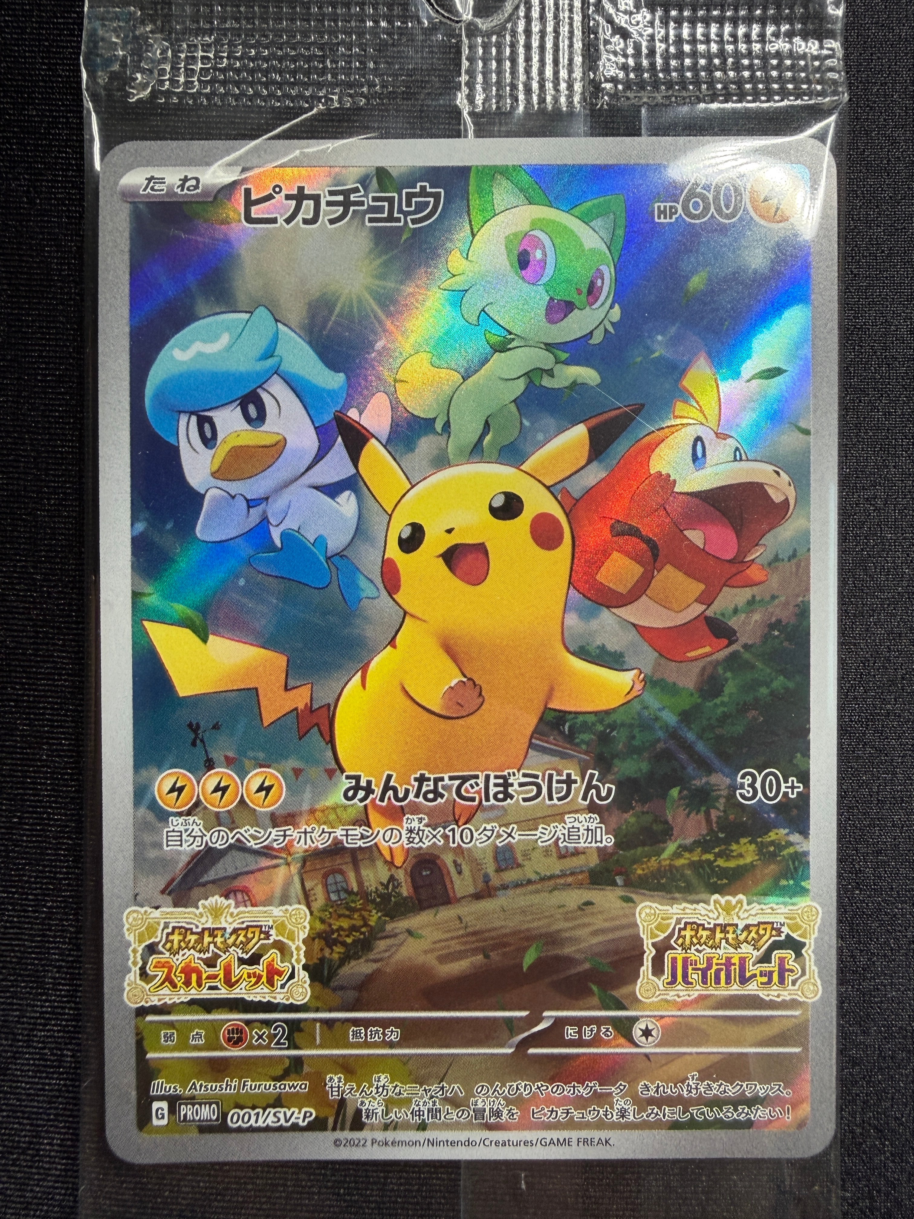 PSA10】キモリ P [ADV-P 016](プロモーションカード「セブン-イレブン