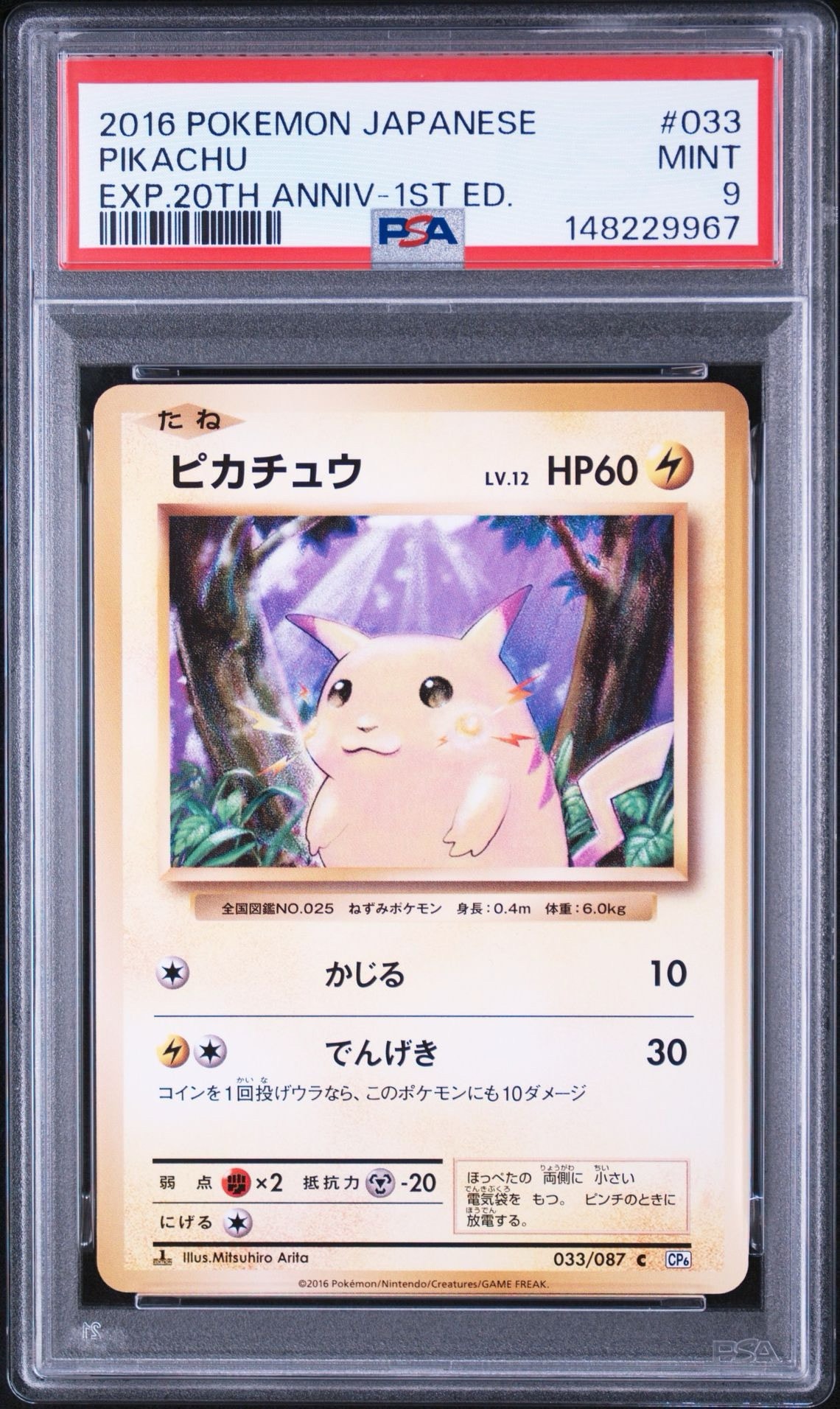 ピカチュウ C :1ED [CP6 033/087](コンセプトパック「ポケットモンスターカードゲーム 拡張パック 20th Anniversary」)