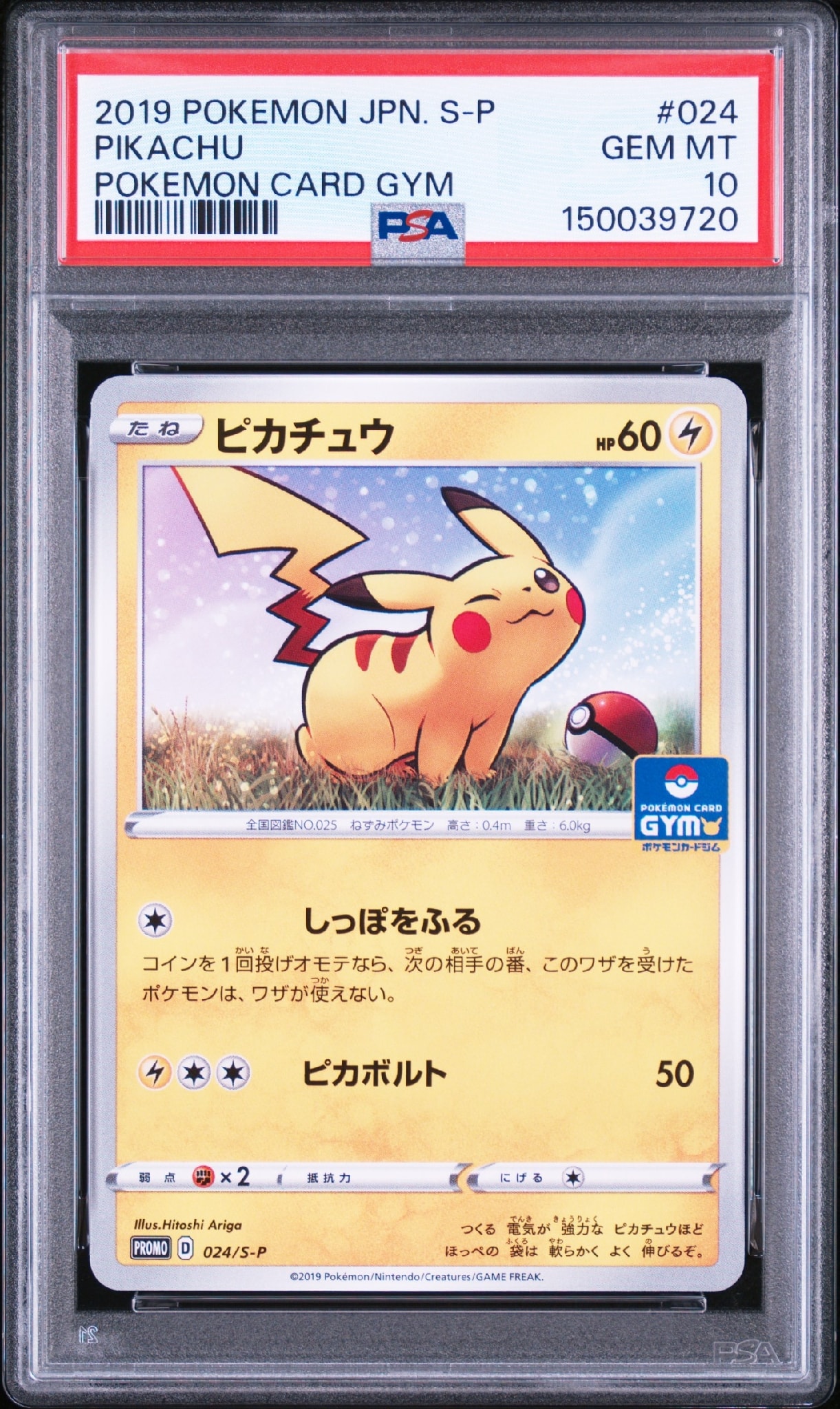 ピカチュウ: プロモ P [S-P 024](ポケモンカードゲーム ソード&シールド 「プロモカードパック 第1弾」)