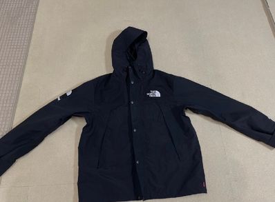 Supreme x The North Face Arc Logo Mountain Parka "Black" NP11901I / NF0A3VMM