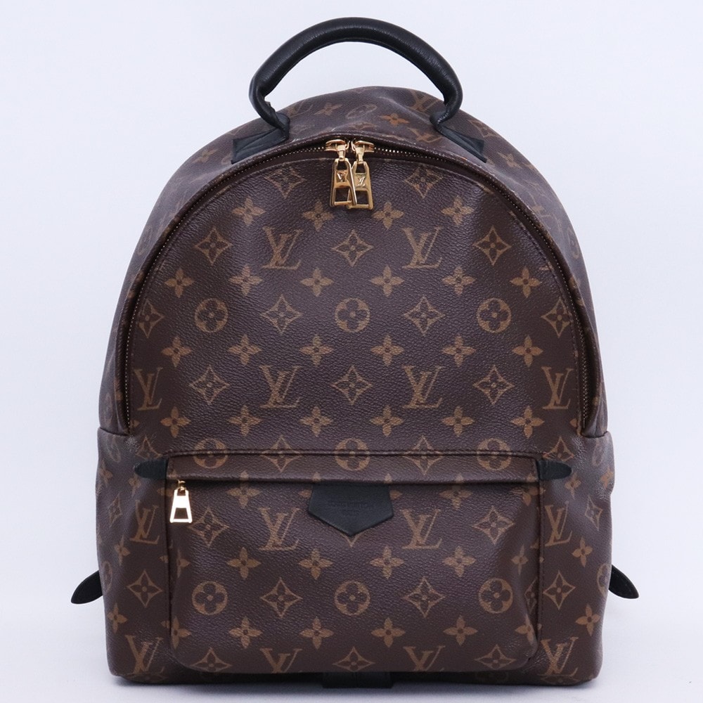 Louis Vuitton Palm Springs MM Monogram