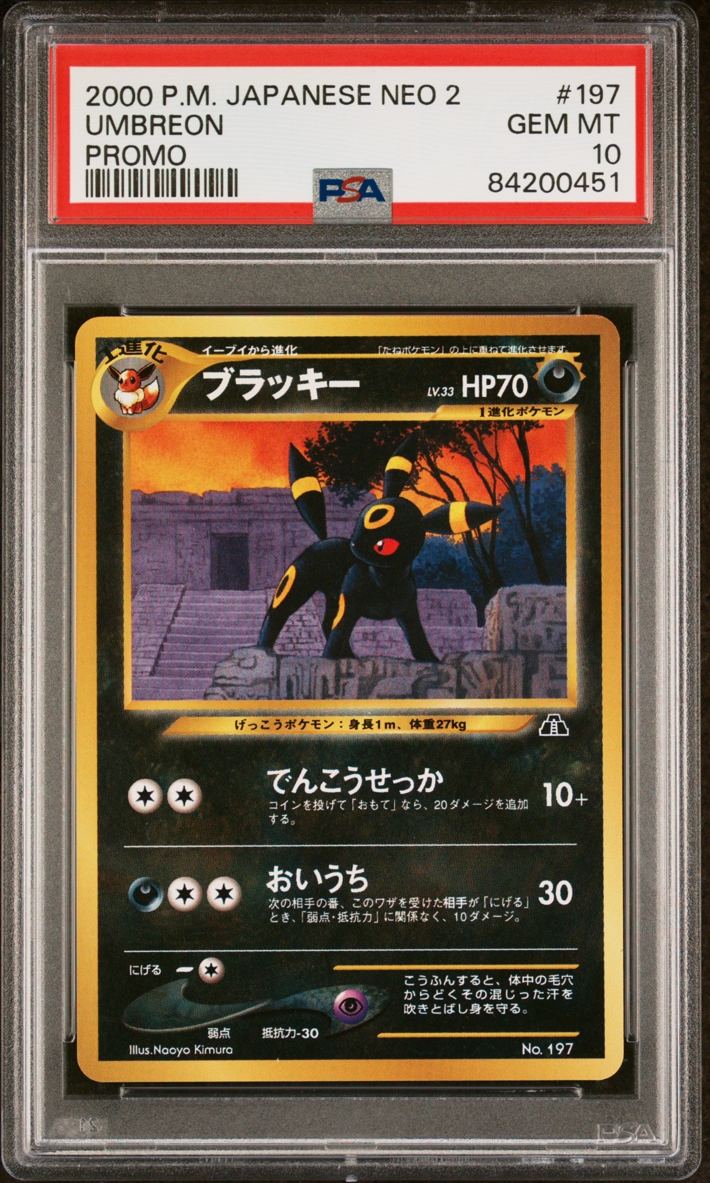 PSA10】ブラッキープレミアムファイル2: 旧裏[neoP2 No.197