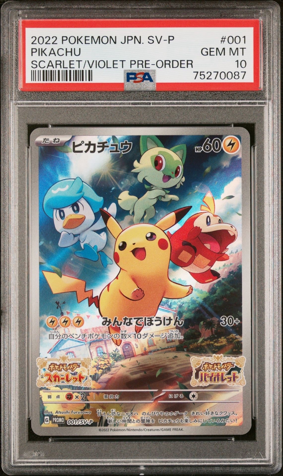コダック: プロモ[XY-P](プロモーションカード「XY-P」)の新品/中古