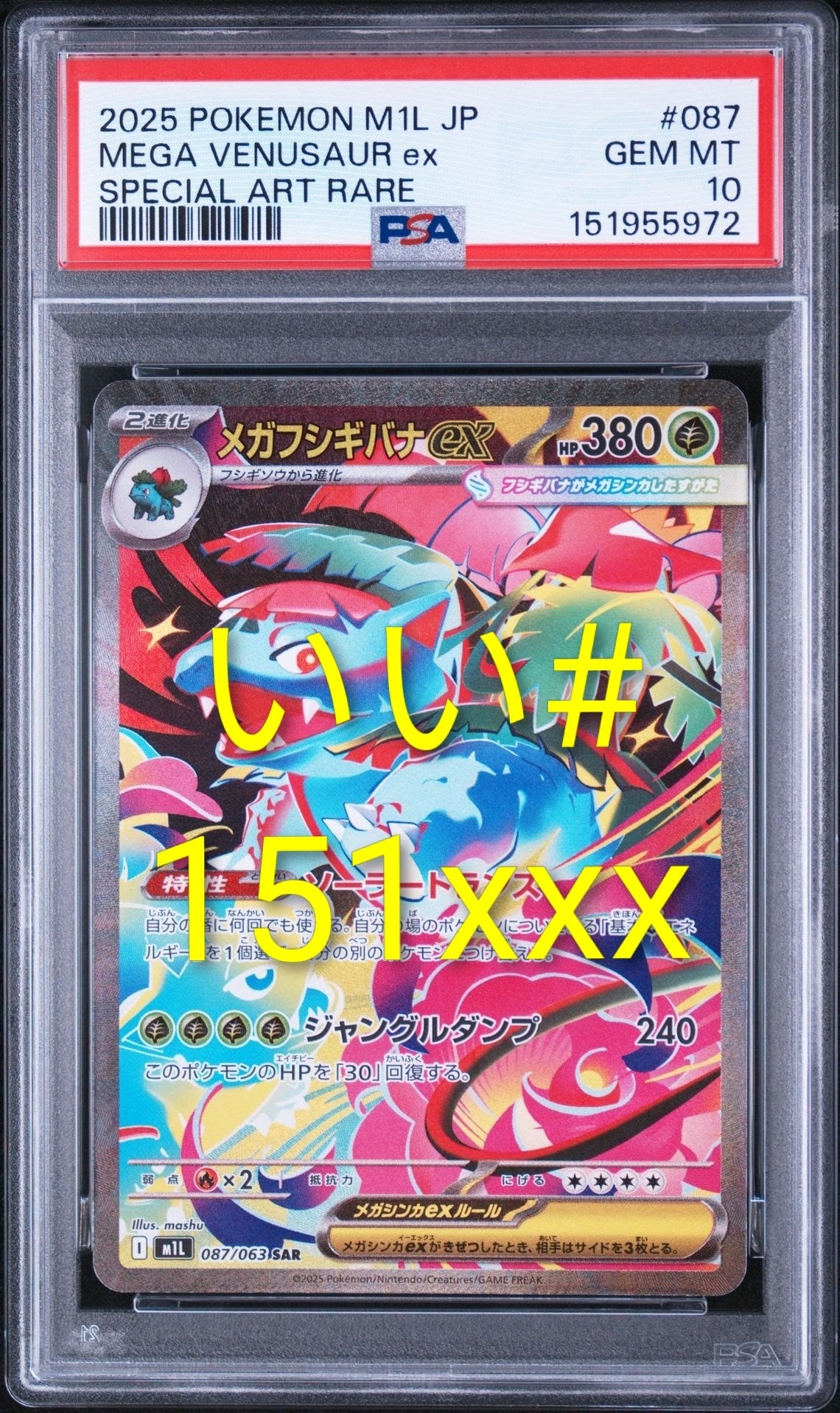 PSA10 メガフシギバナex SAR 拡張パック メガブレイブ 087/063 メガフシギバナex SAR [M1L 087/063](拡張パック「メガブレイブ」)通販
