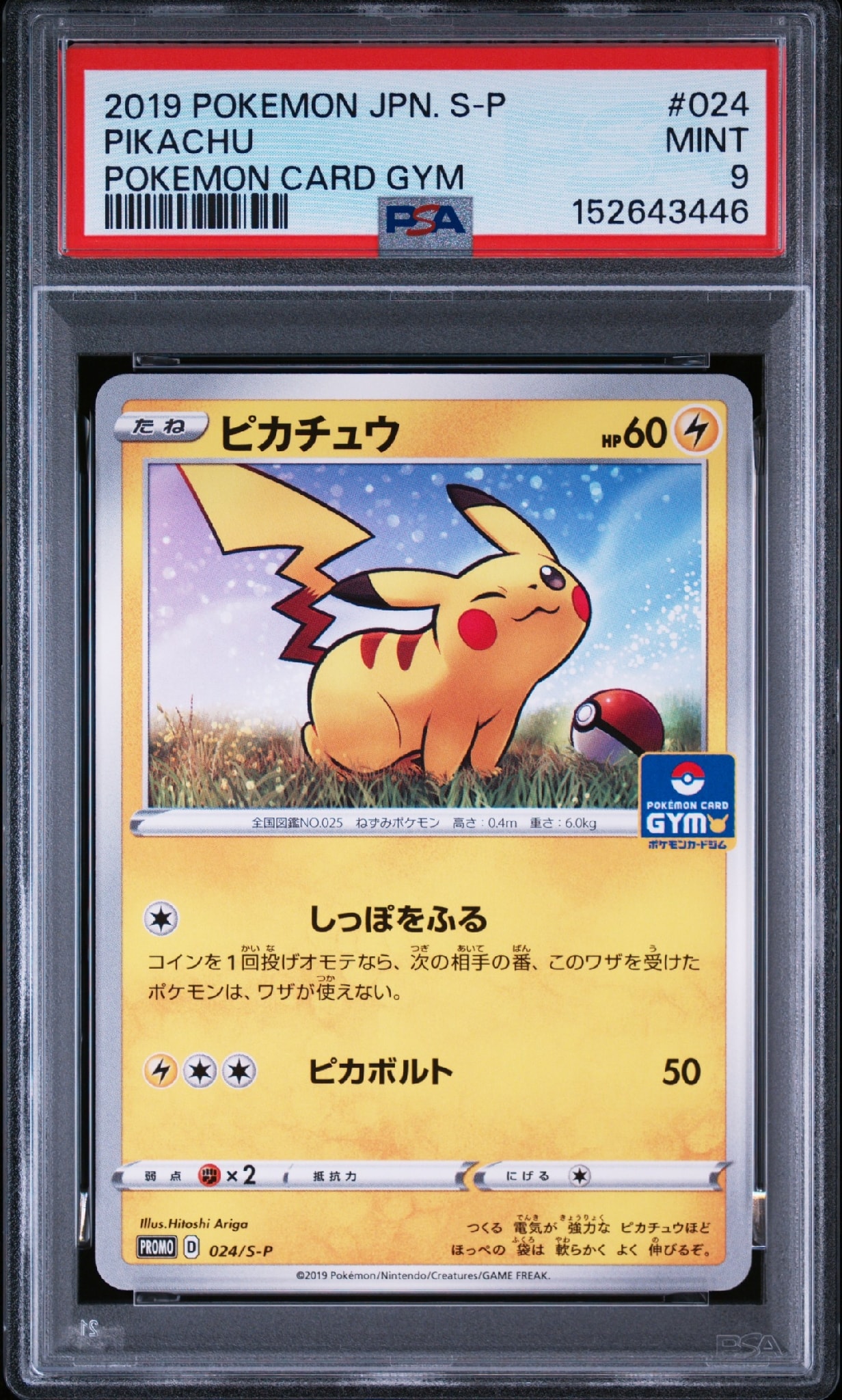 ピカチュウ: プロモ P [S-P 024](ポケモンカードゲーム ソード&シールド 「プロモカードパック 第1弾」)