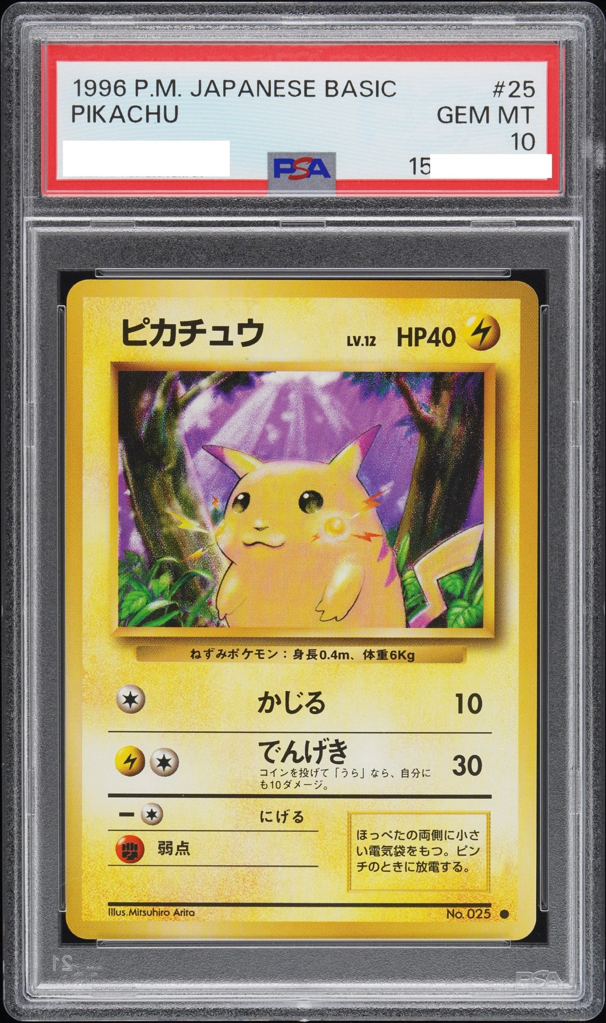ピカチュウ ● : 旧裏 [PMCG1-2](拡張パック「ポケットモンスター カードゲーム」再販)