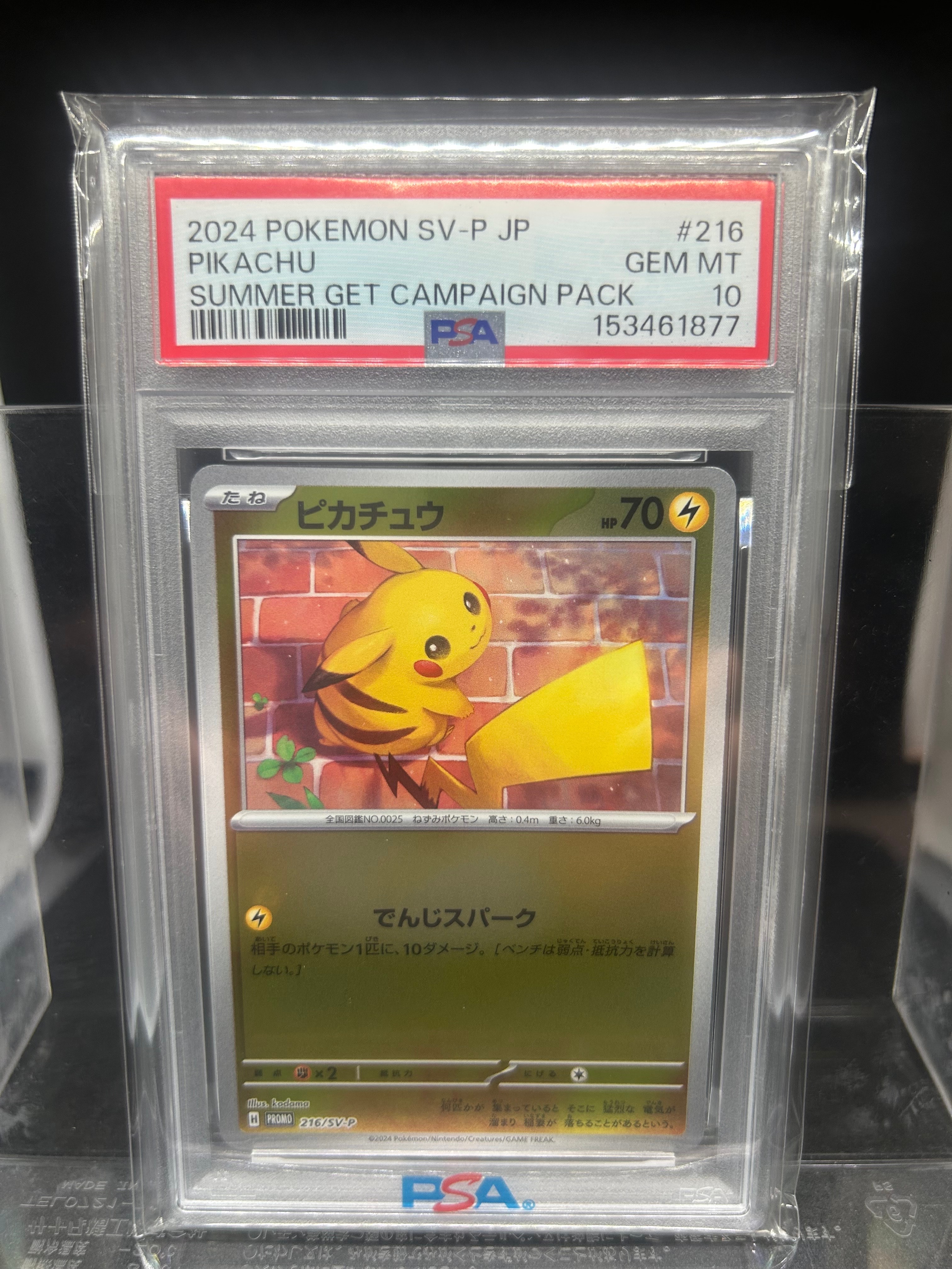 ピカチュウ P [SV-P 216](プロモカードパック「ポケカの夏がキタ