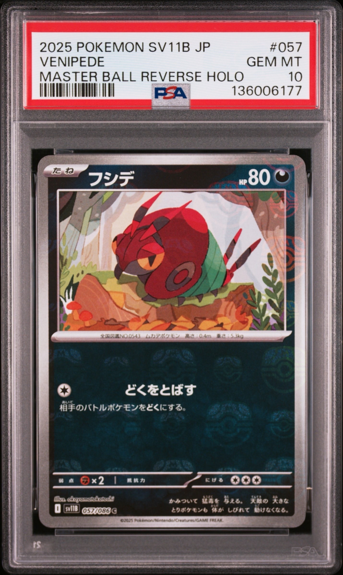 フシデ C :マスターボールミラー [SV11B 057/086](拡張パック「ブラックボルト」)