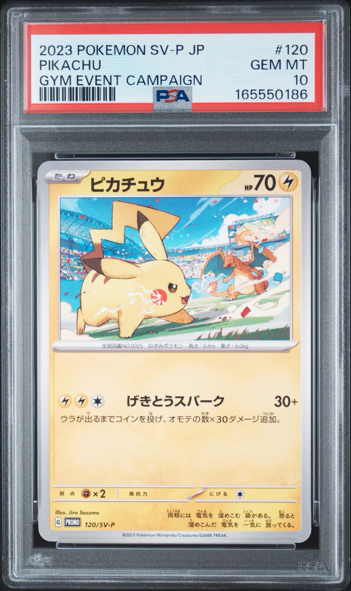 値下げ‼️PSA10 ピカチュウ 120/SV-P プロモ ピカチュウ: プロモ [SV-P 120](プロモーションカード「SV-P」)通販