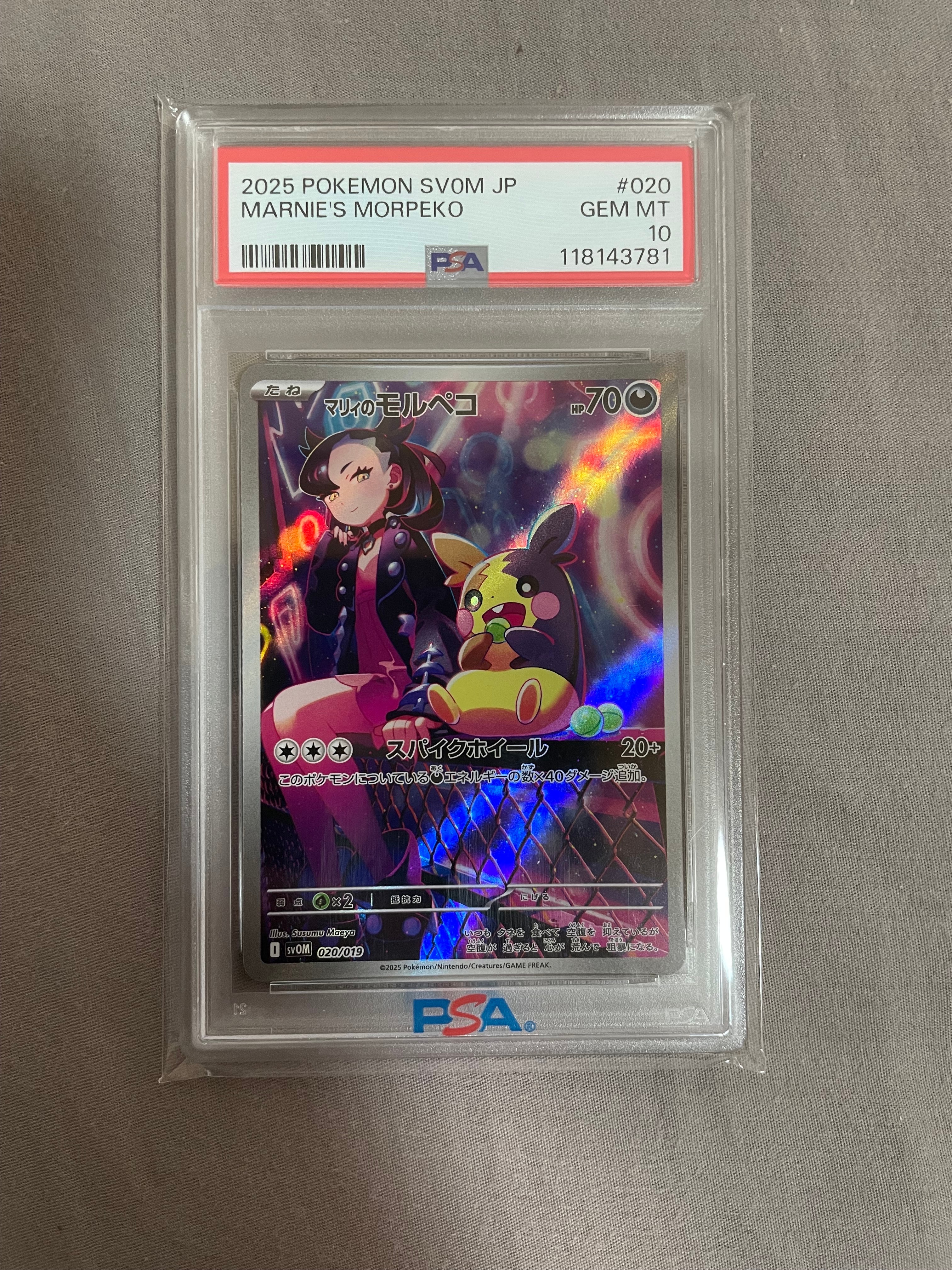 マリィのモルペコ [SVOM 020/019](スターターセットex「マリィのモルペコ＆オーロンゲex」)