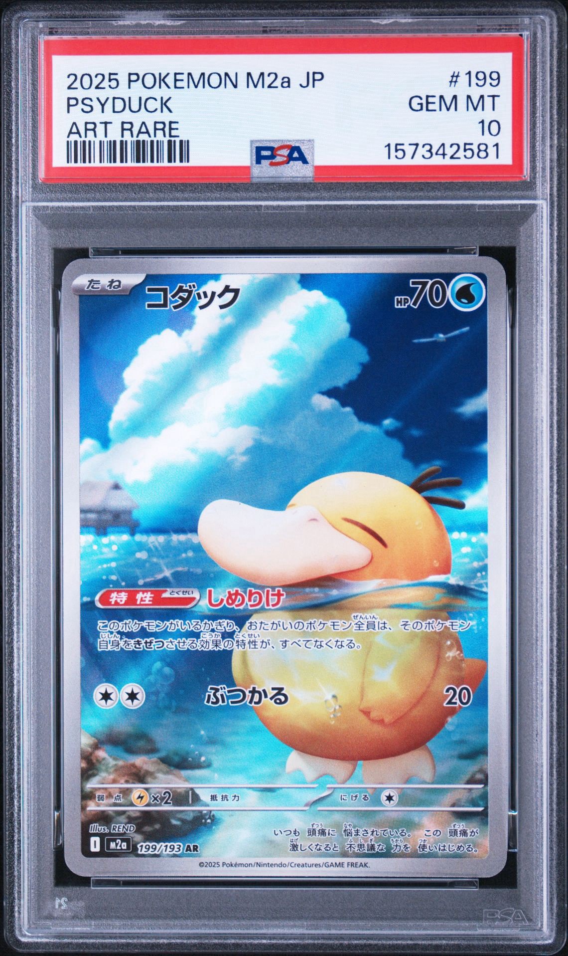 コダック AR [M2a 199/193](ハイクラスパック「MEGAドリームex」)通販