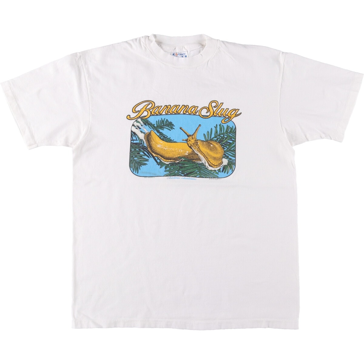 古着 80年代 ヘインズ Hanes BEEFY-T 青タグ ナメクジ柄 アニマルTシャツ USA製 メンズL相当 ヴィンテージ/eaa567580