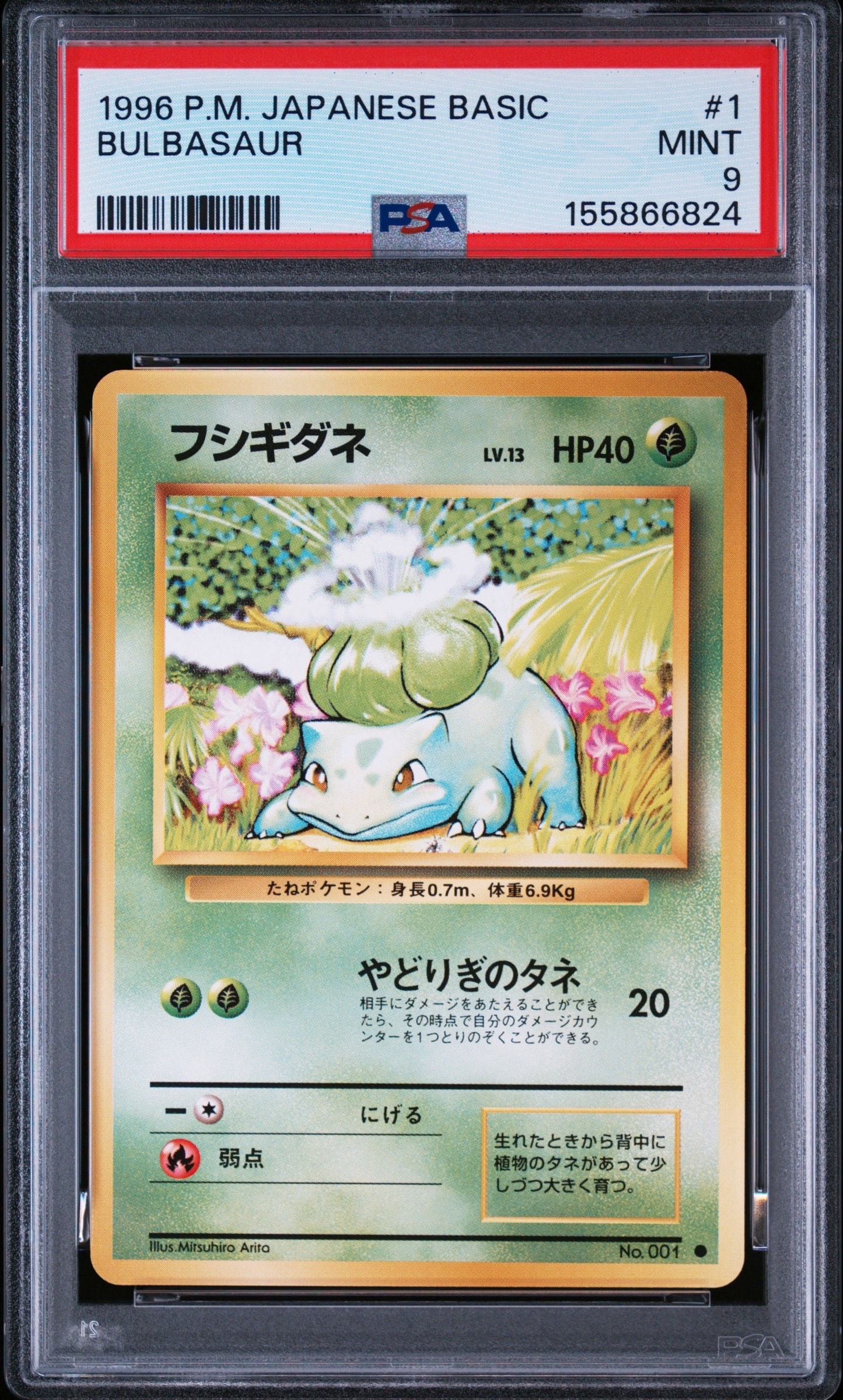 PSA9】ゼクロム: プロモ[S8a-P 021/025](プロモカードパック 25th