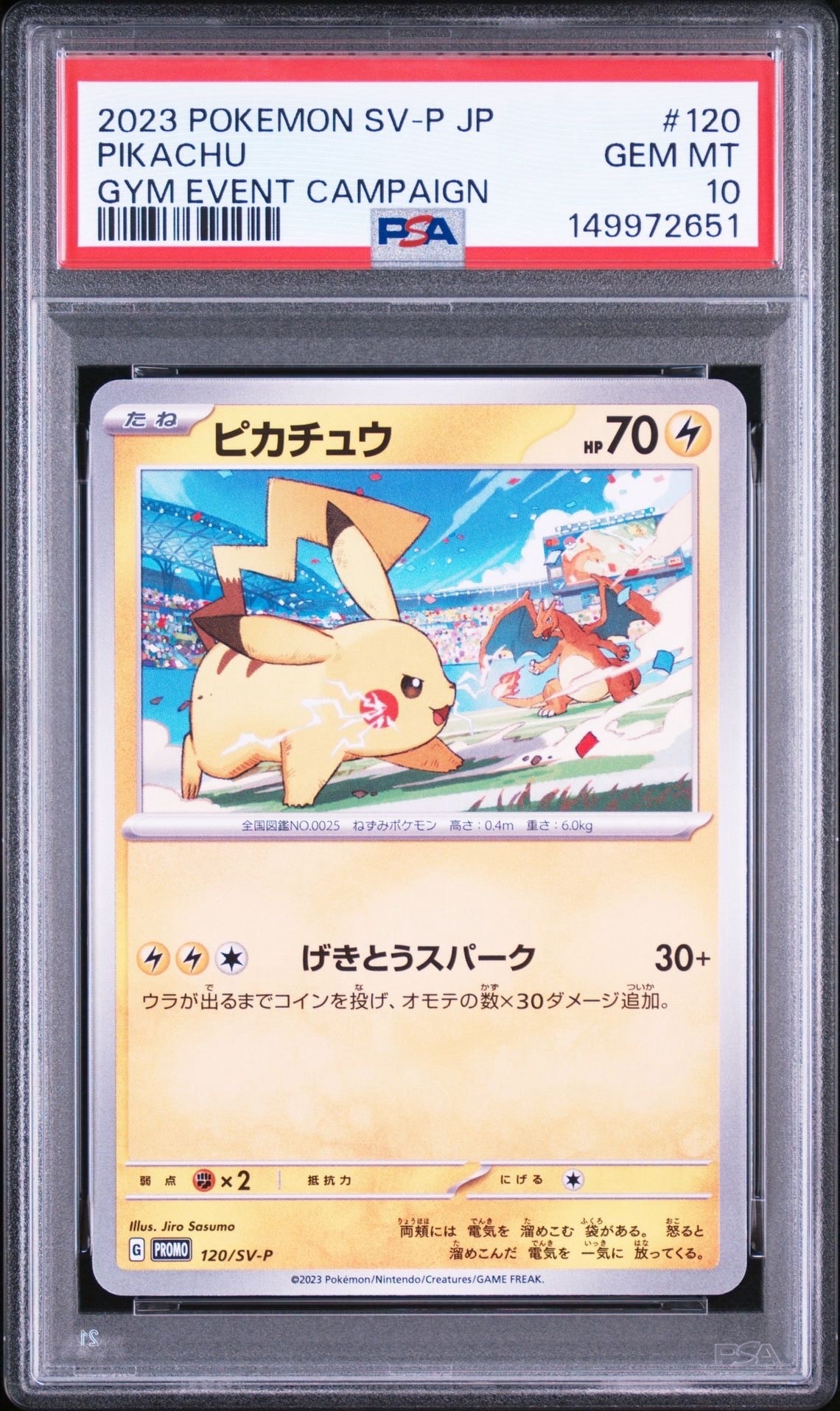 ピカチュウ: プロモ [SV-P 120](プロモーションカード「SV-P」)の新品