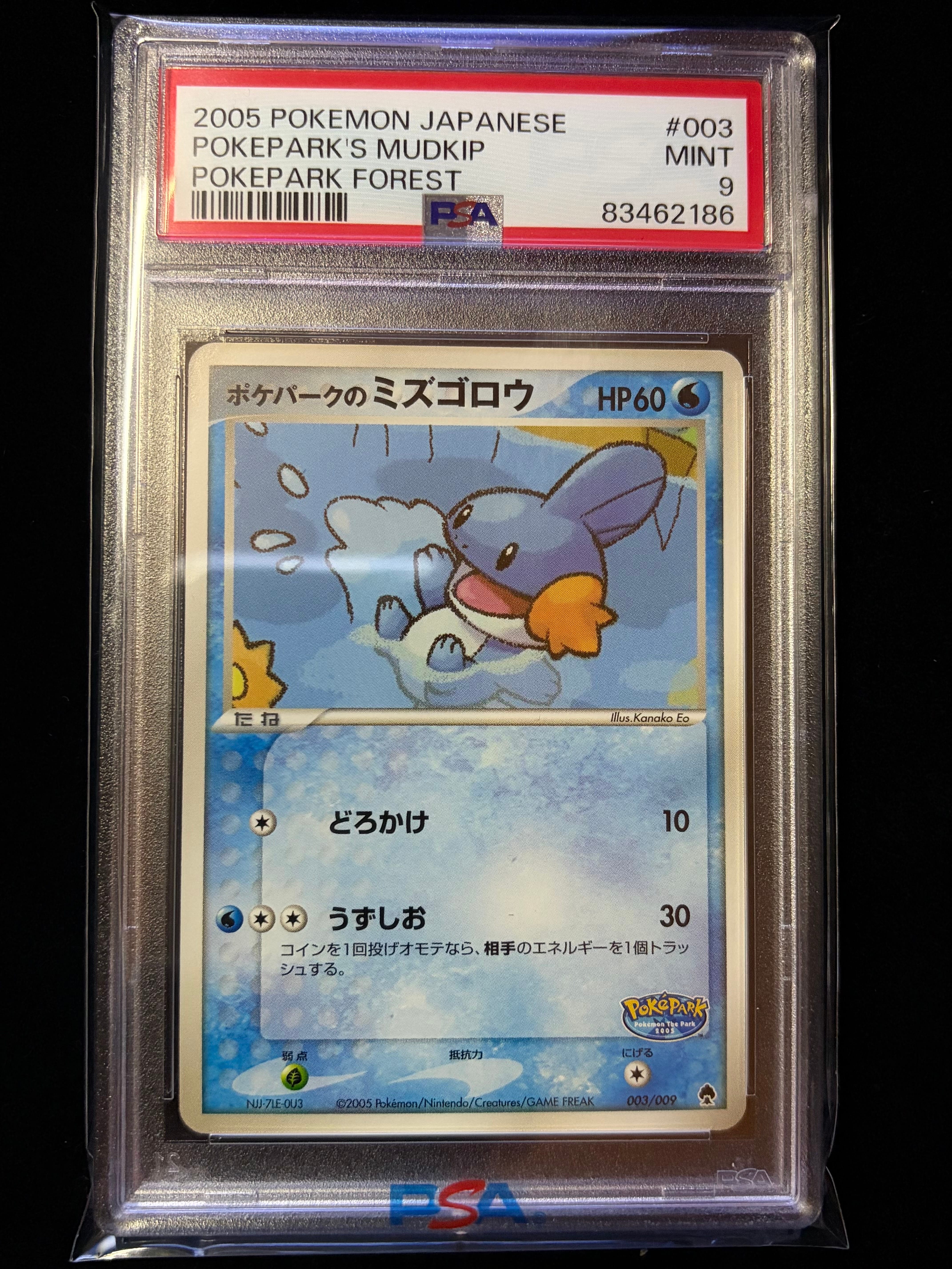 ポケパークのミズゴロウ [PCG 003/009](ポケパークプレミアムファイル