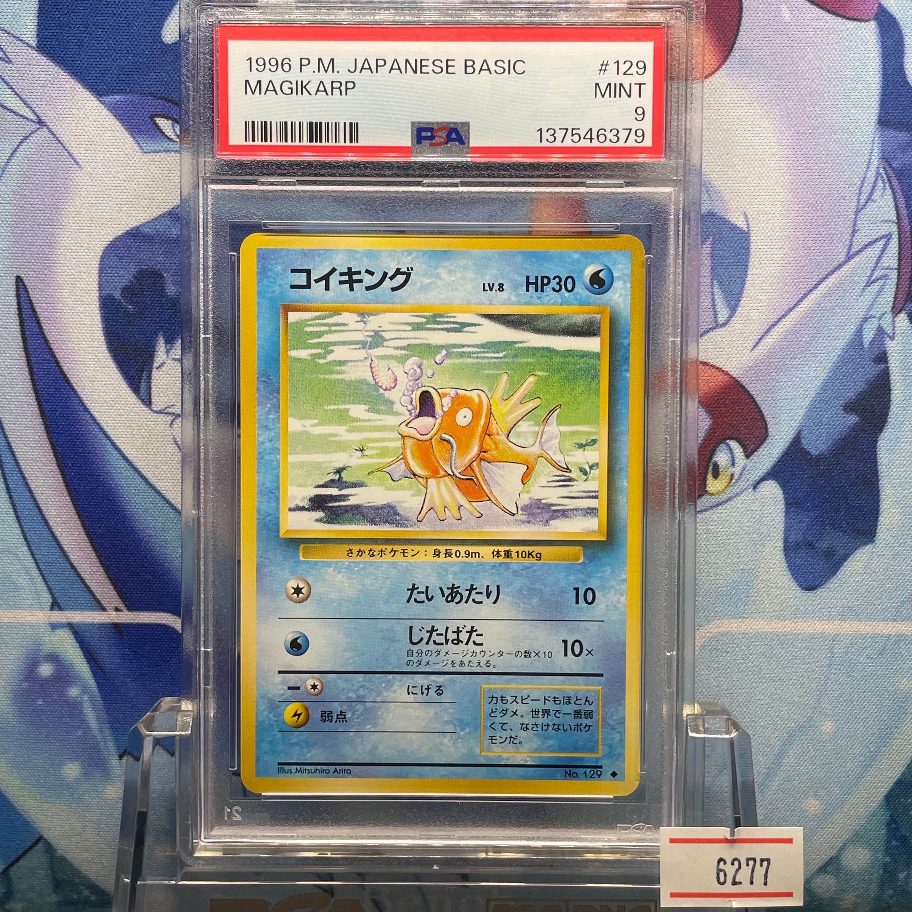 コイキング トップサン 裏緑 psa9 トップサン コイキング 裏緑 - メルカリ