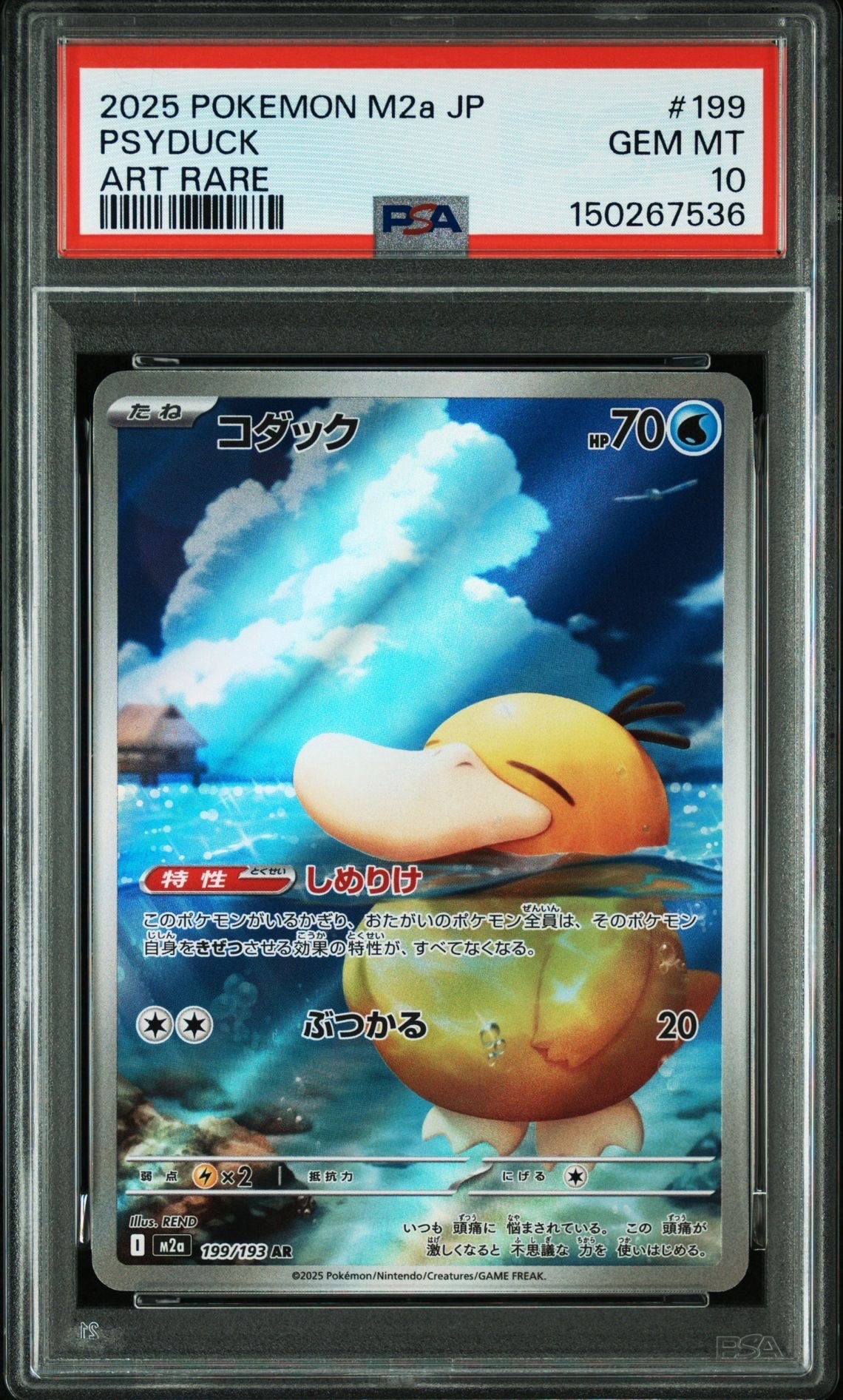 コダック AR [M2a 199/193](ハイクラスパック「MEGAドリームex」)