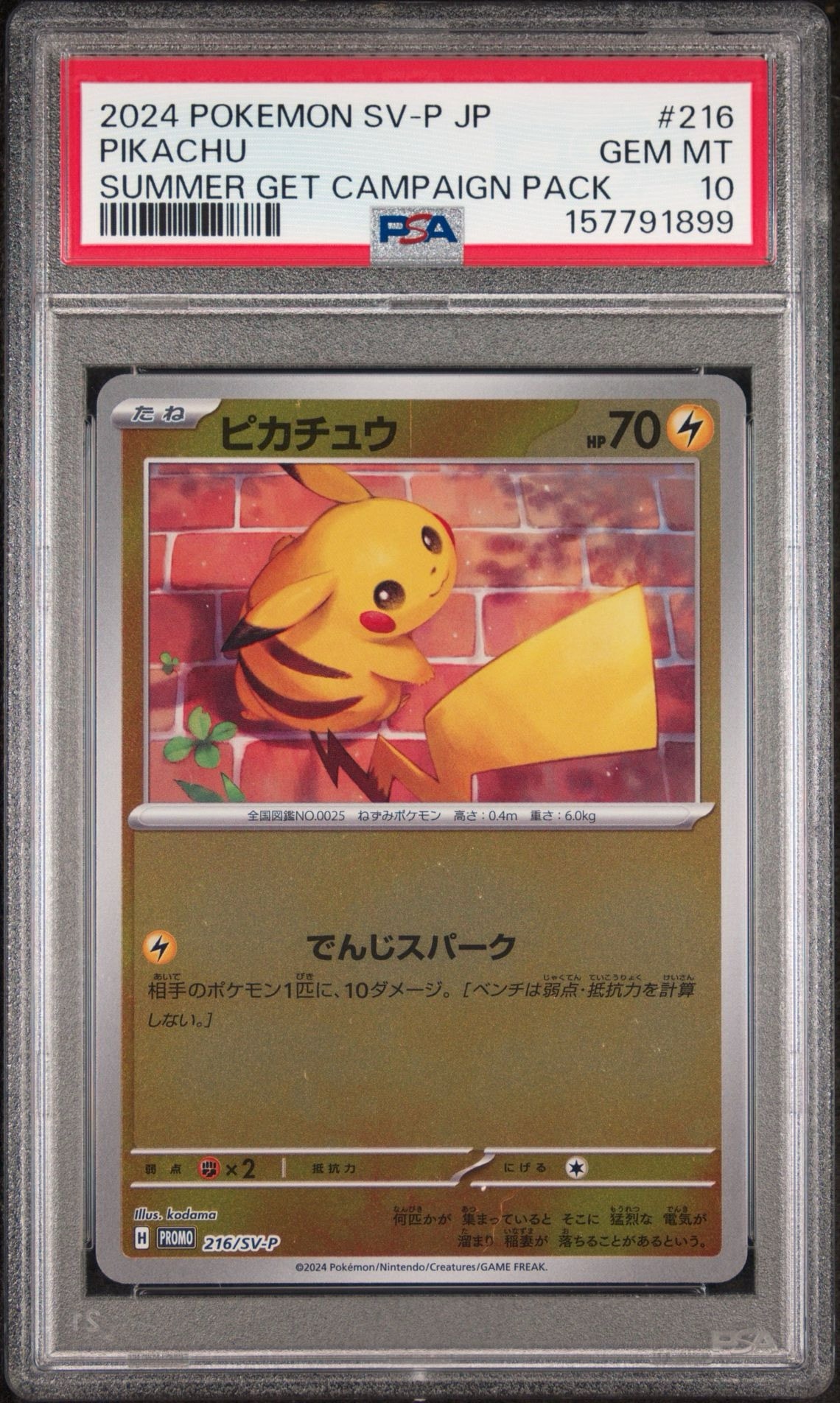 PSA10】ピカチュウ P [SV-P 216](プロモカードパック「ポケカの夏が
