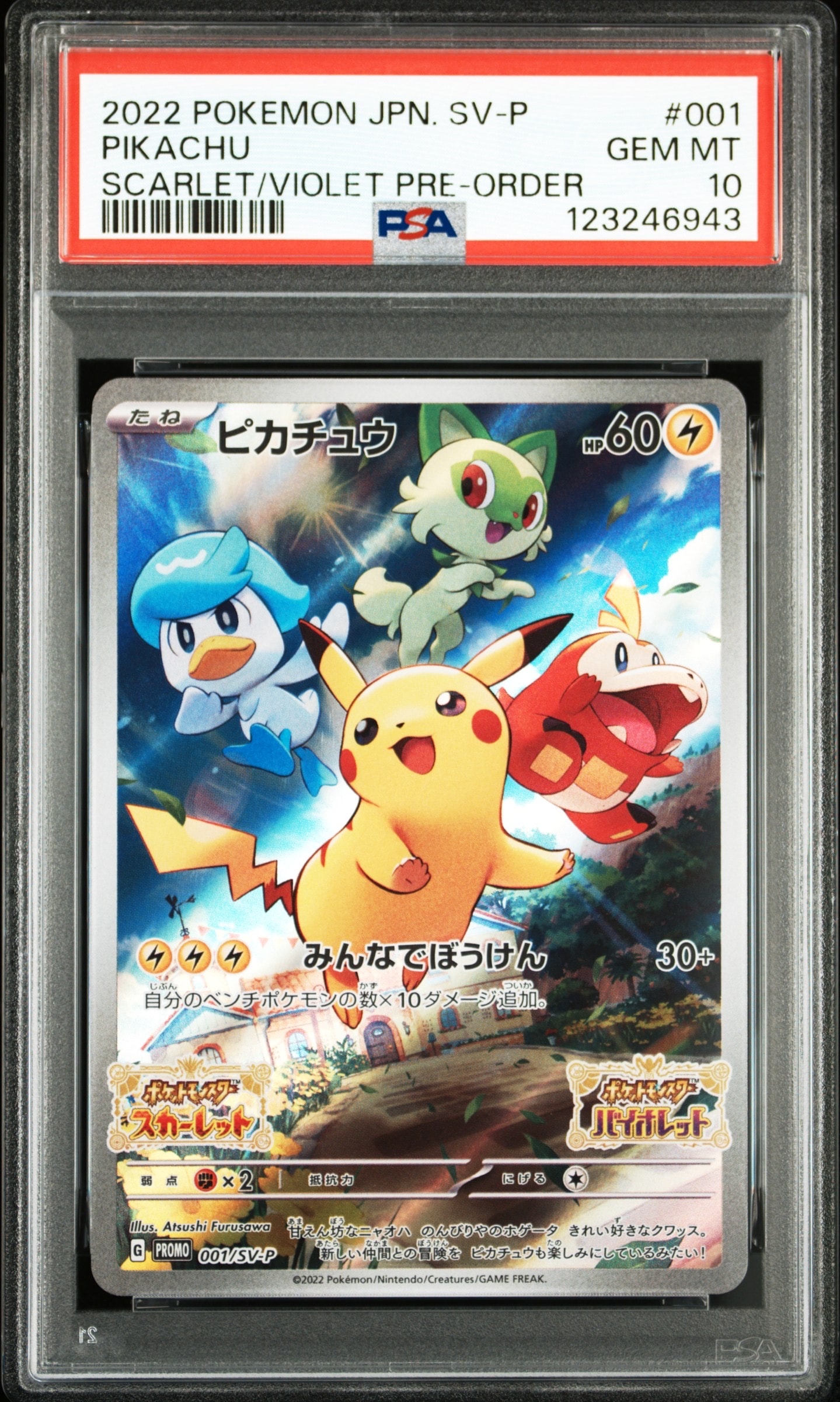 カスミのなみだ マーク無し: 旧裏[PMCG-DE](ポケモンジム構築デッキ