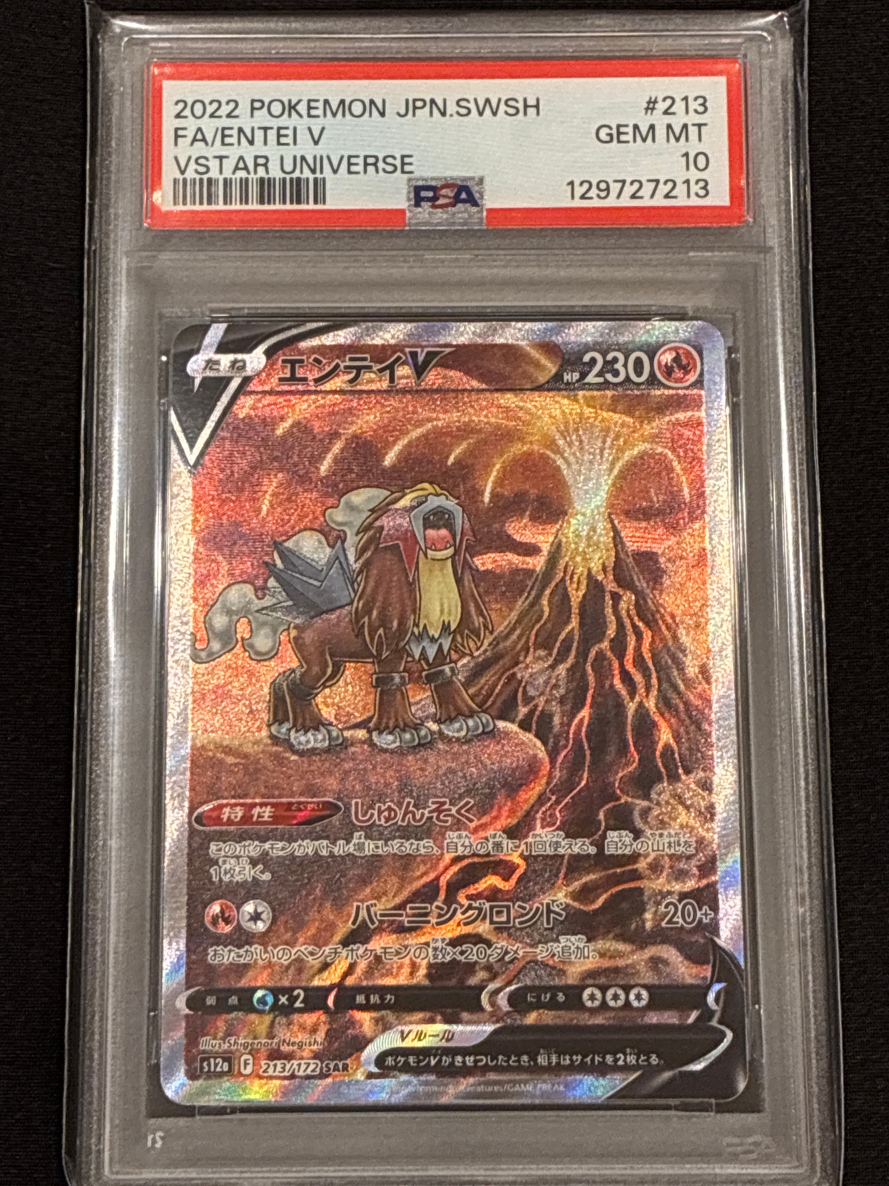 エンテイV SAR[s12a 213/172](ハイクラスパック「VSTARユニバース」)