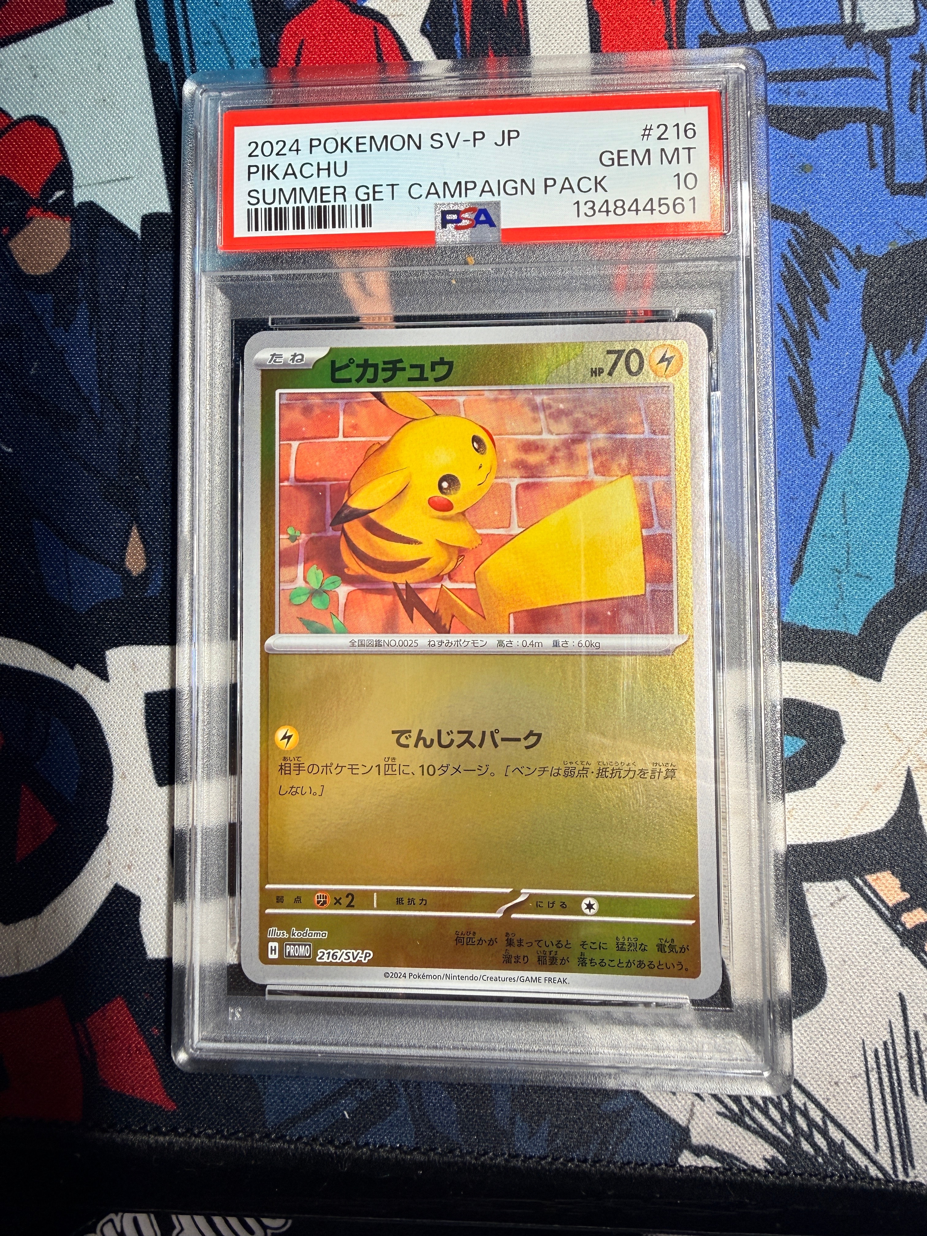 ピカチュウ P [SV-P 216](プロモカードパック「ポケカの夏がキタ!プロモカードGetキャンペーン!」)