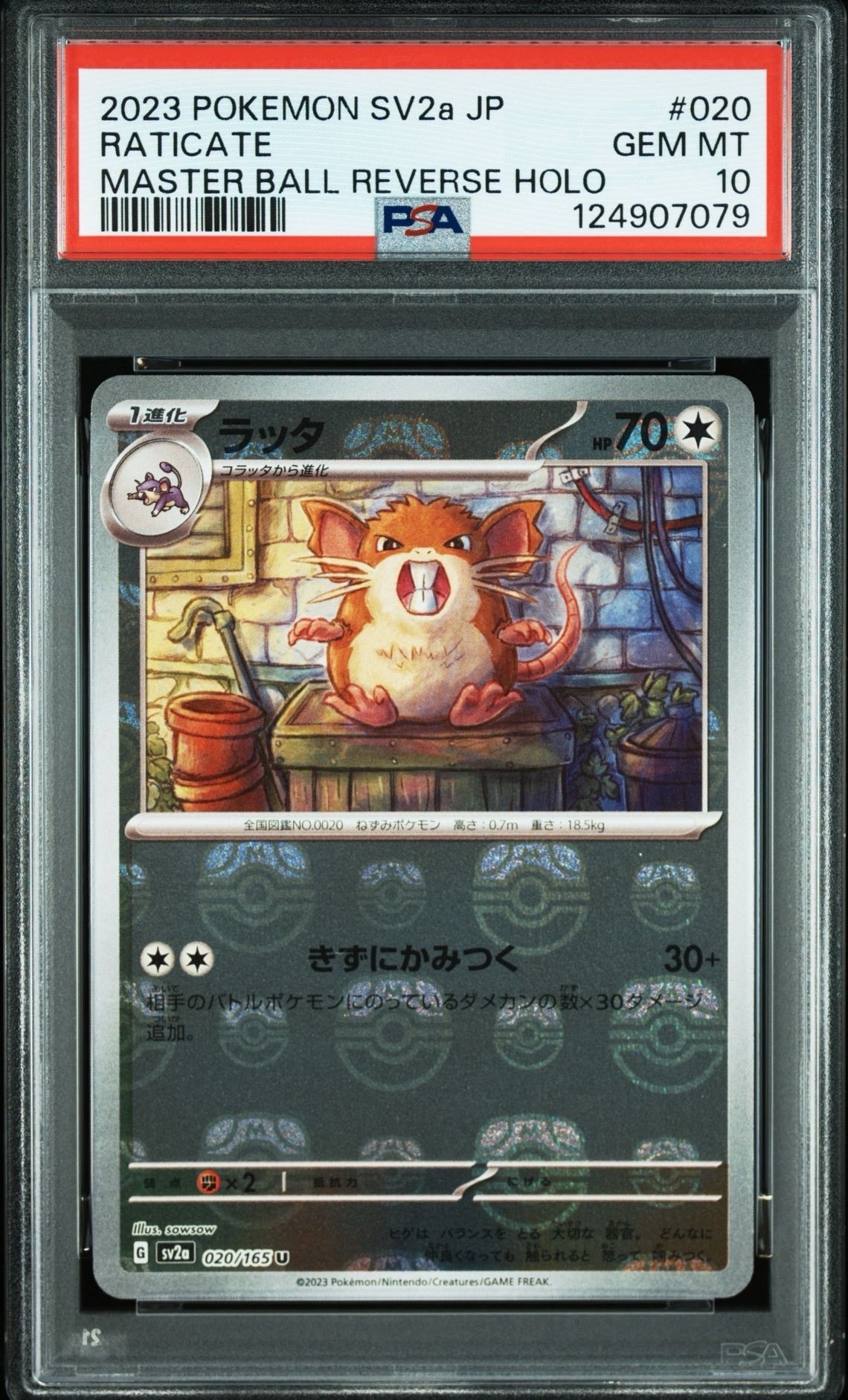 ラッタ U: マスターボールミラー[SV2a 020/165](強化拡張パック「ポケモンカード151」)