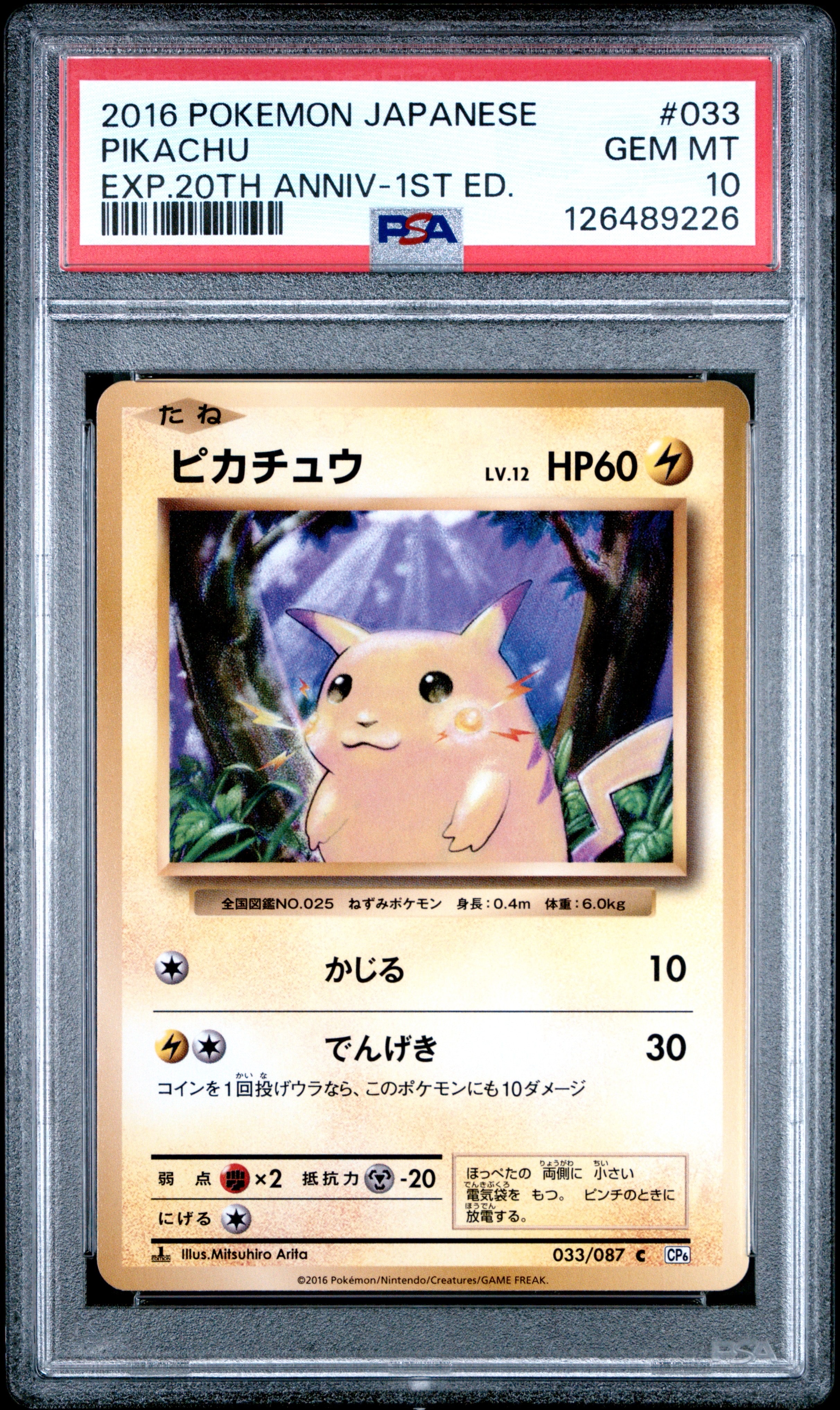 ピカチュウ C :1ED [CP6 033/087](コンセプトパック「ポケットモンスターカードゲーム 拡張パック 20th Anniversary」)