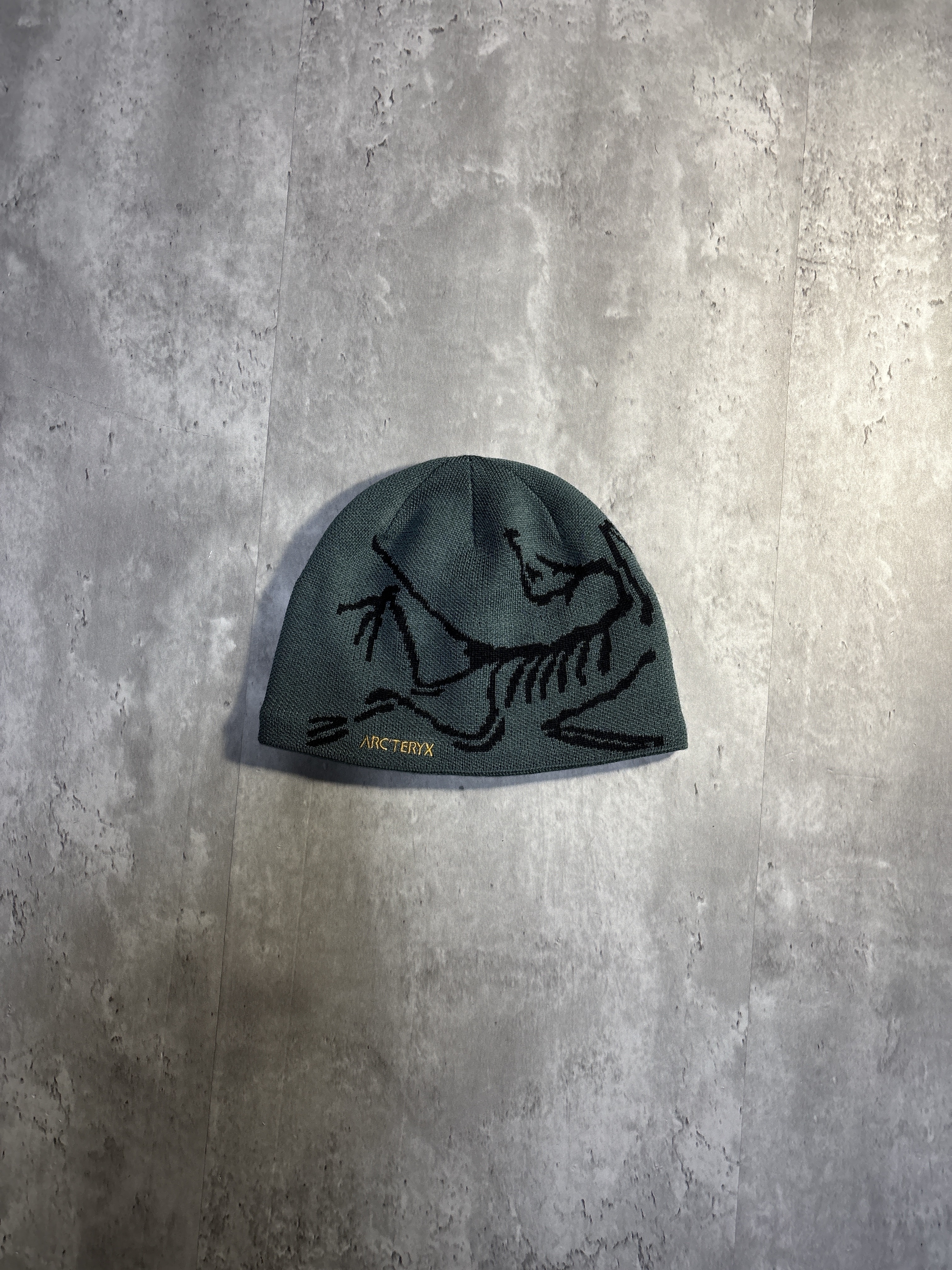 ARC'TERYX Bird Head Toque "Dark Magic" X000006756