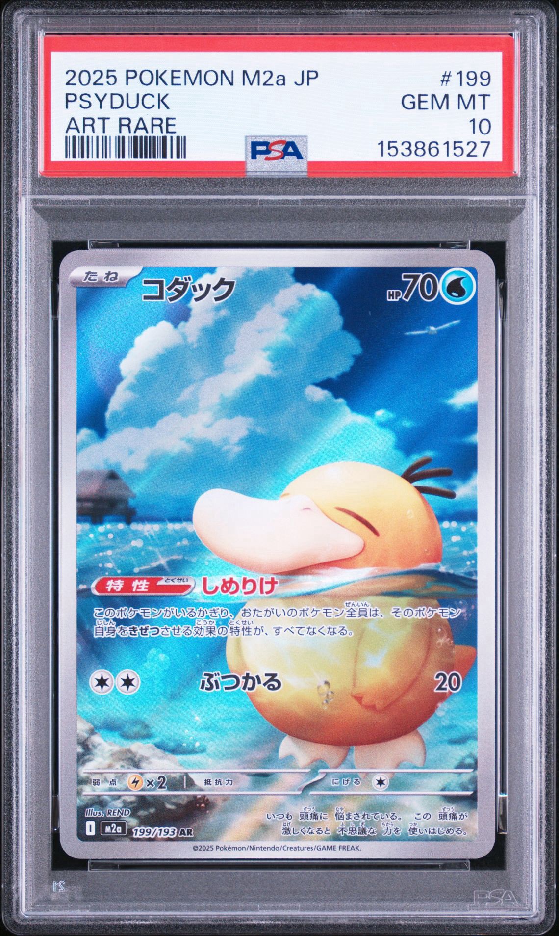 コダック AR [M2a 199/193](ハイクラスパック「MEGAドリームex」)