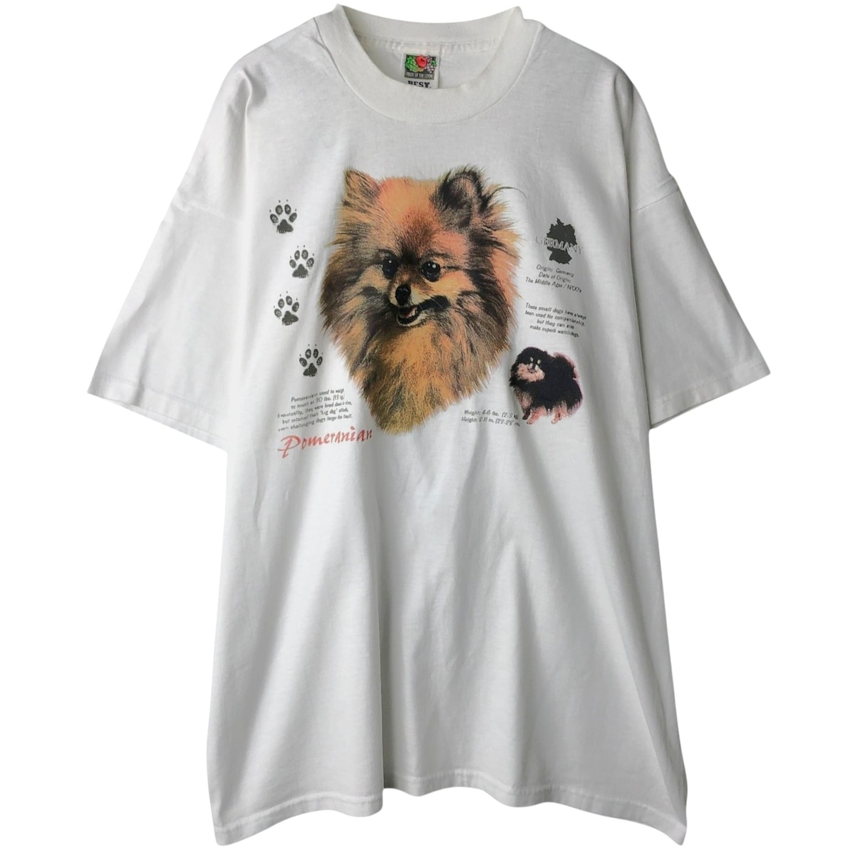 古着 フルーツオブザルーム FRUIT OF THE LOOM BEST 犬柄 アニマルTシャツ メンズXL相当/eaa641727