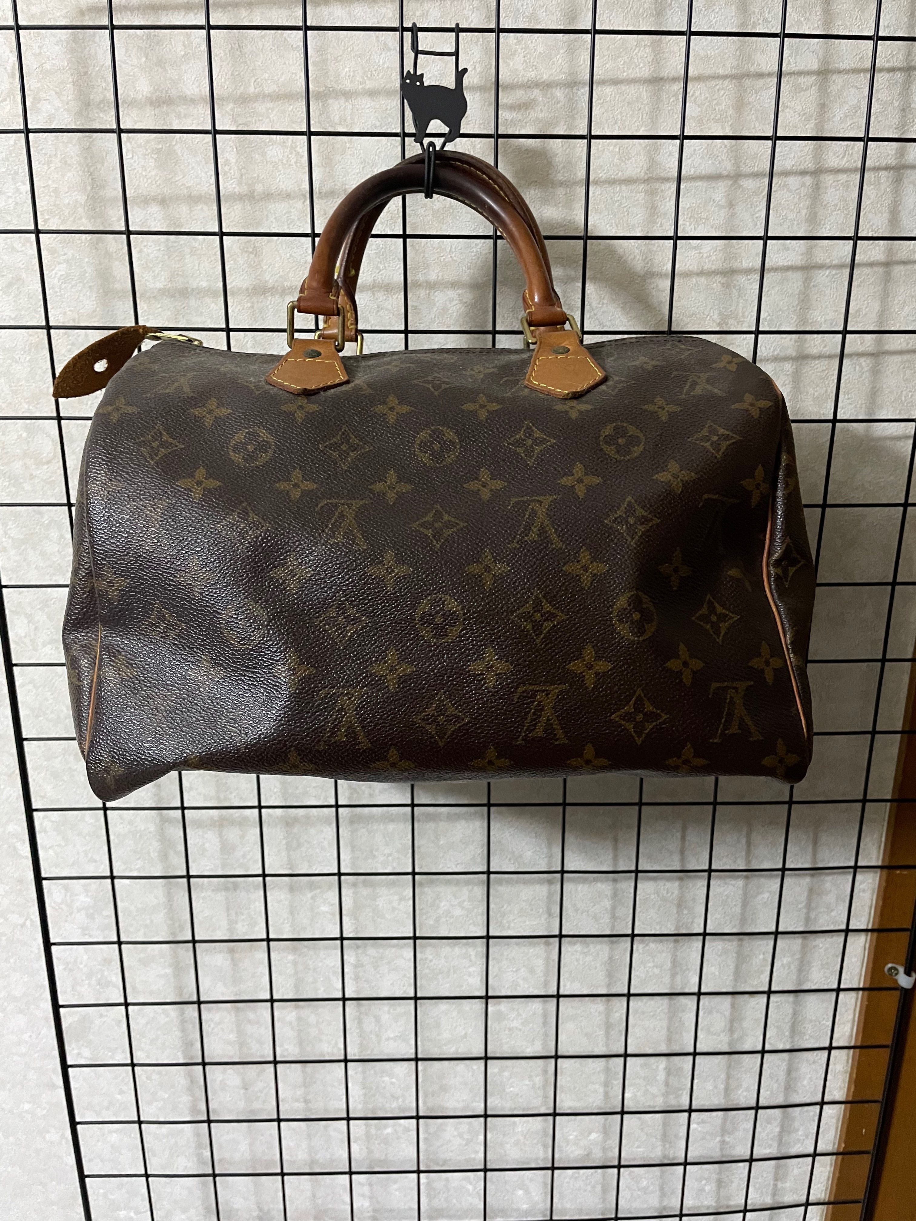 Louis Vuitton Speedy 30 Monogram