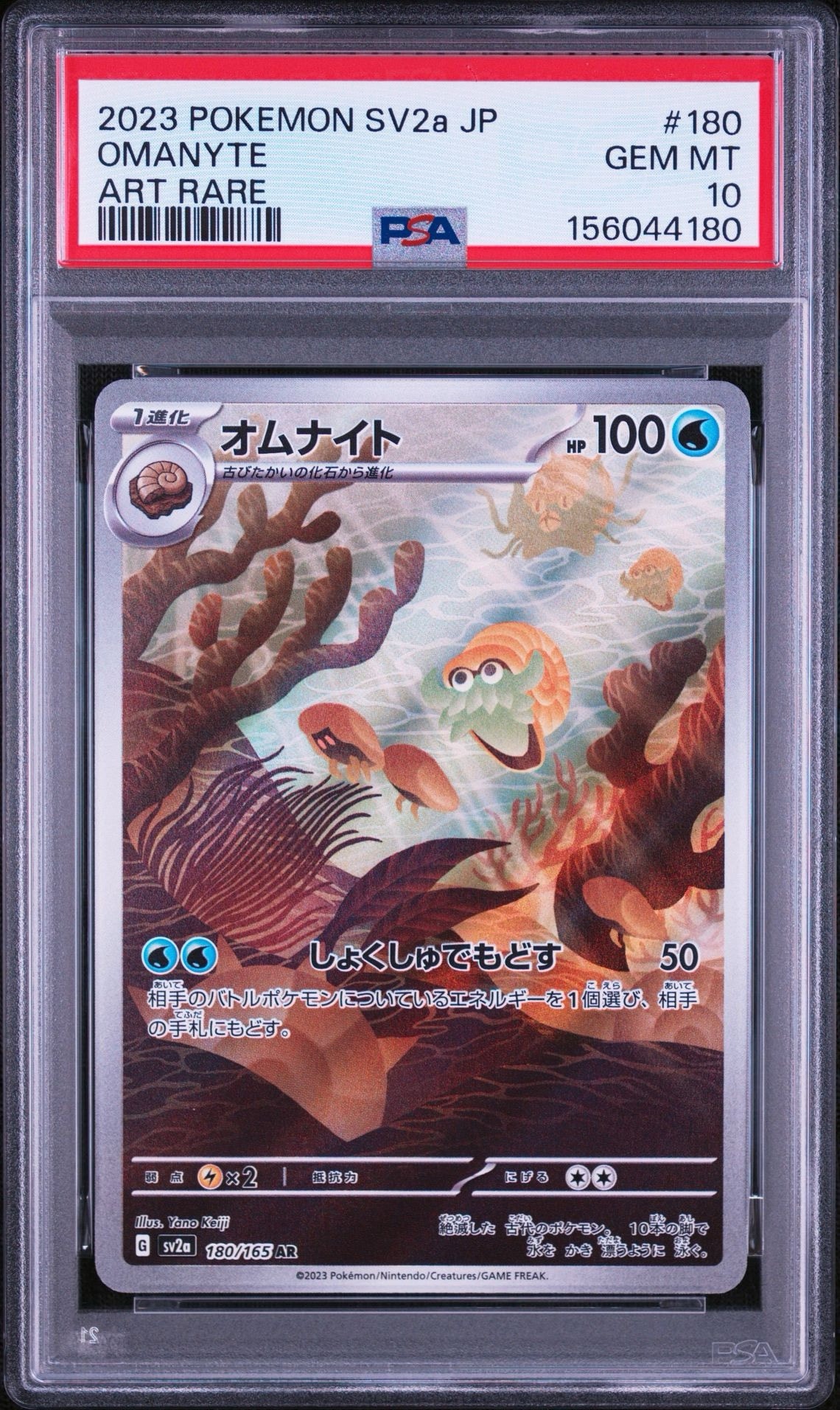 オムナイト AR[SV2a 180/165](強化拡張パック「ポケモンカード151」)