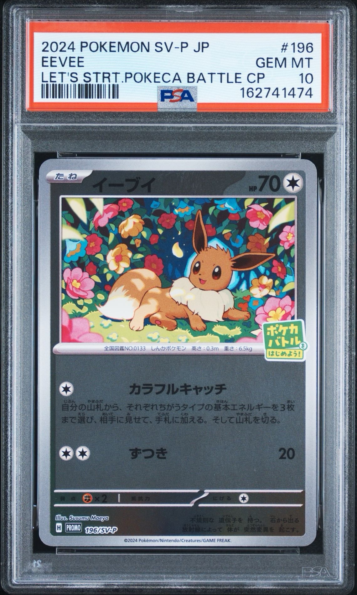 イーブイ P [SV-P-SM 196](プロモカードパック「ポケカバトルをはじめよう!キャンペーン」)