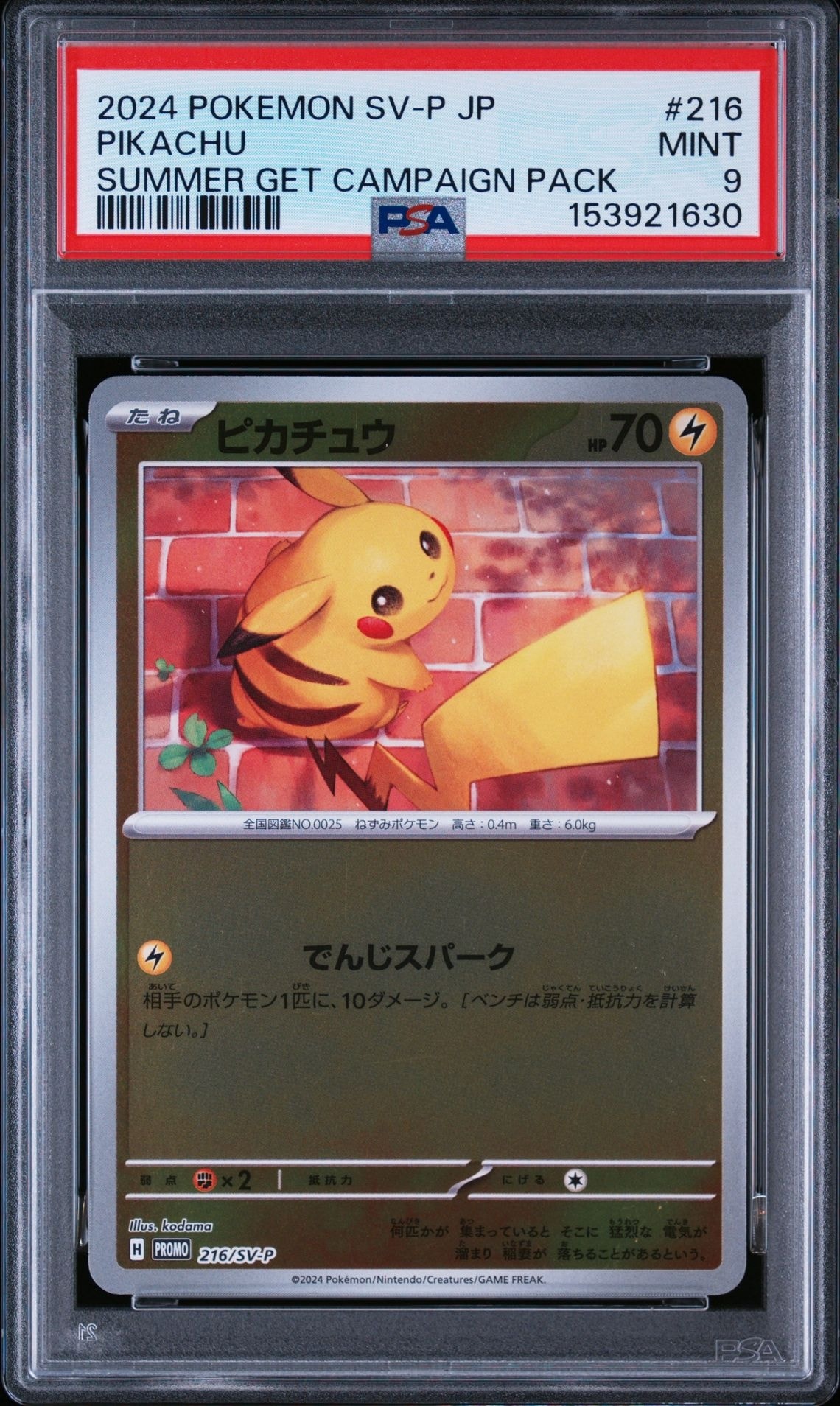 (極美品) ピカチュウ sv-p ポケカの夏がキタ！psa10 プロモ PSA10】ピカチュウ P [SV-P 216](プロモカードパック「ポケカの夏が