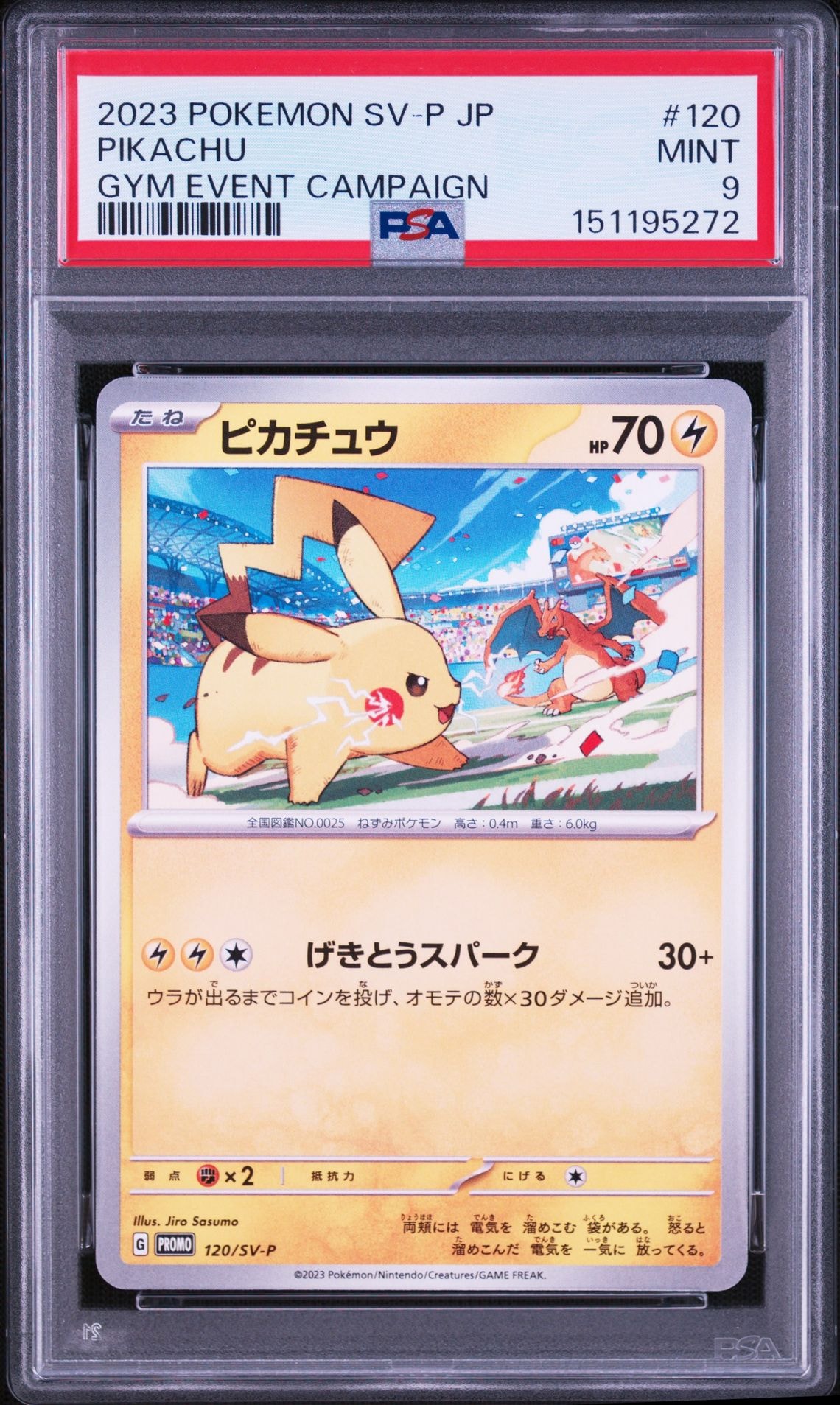 ポケパークのアチャモ [PCG 002/009](ポケパークプレミアムファイル