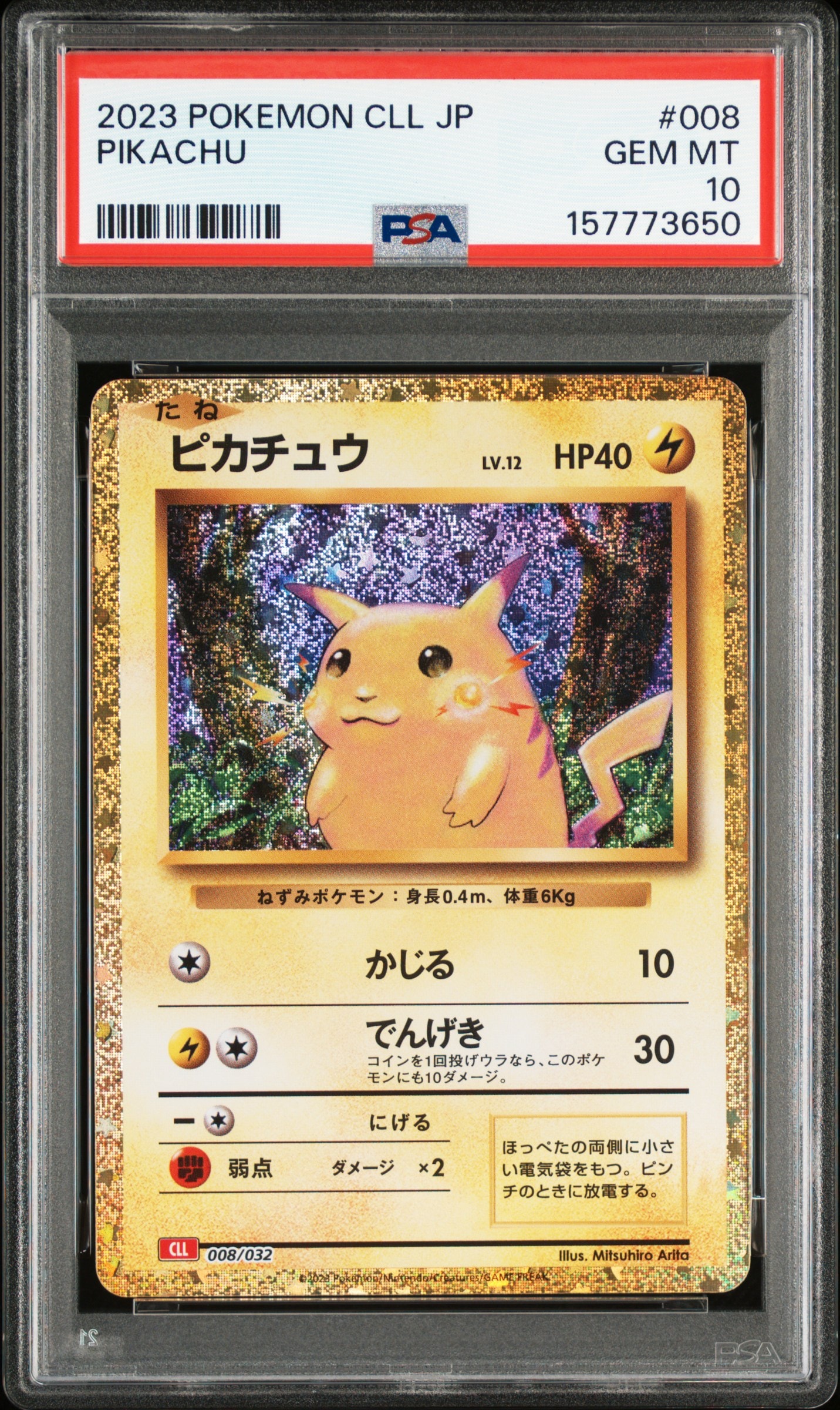 ポンチョを着たピカチュウ: プロモ[SM-P 038](プロモーションカード