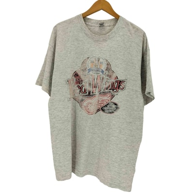 90s USA製 シングルステッチ RED WINGS プリント クルーネックTシャツ【1142965404833】