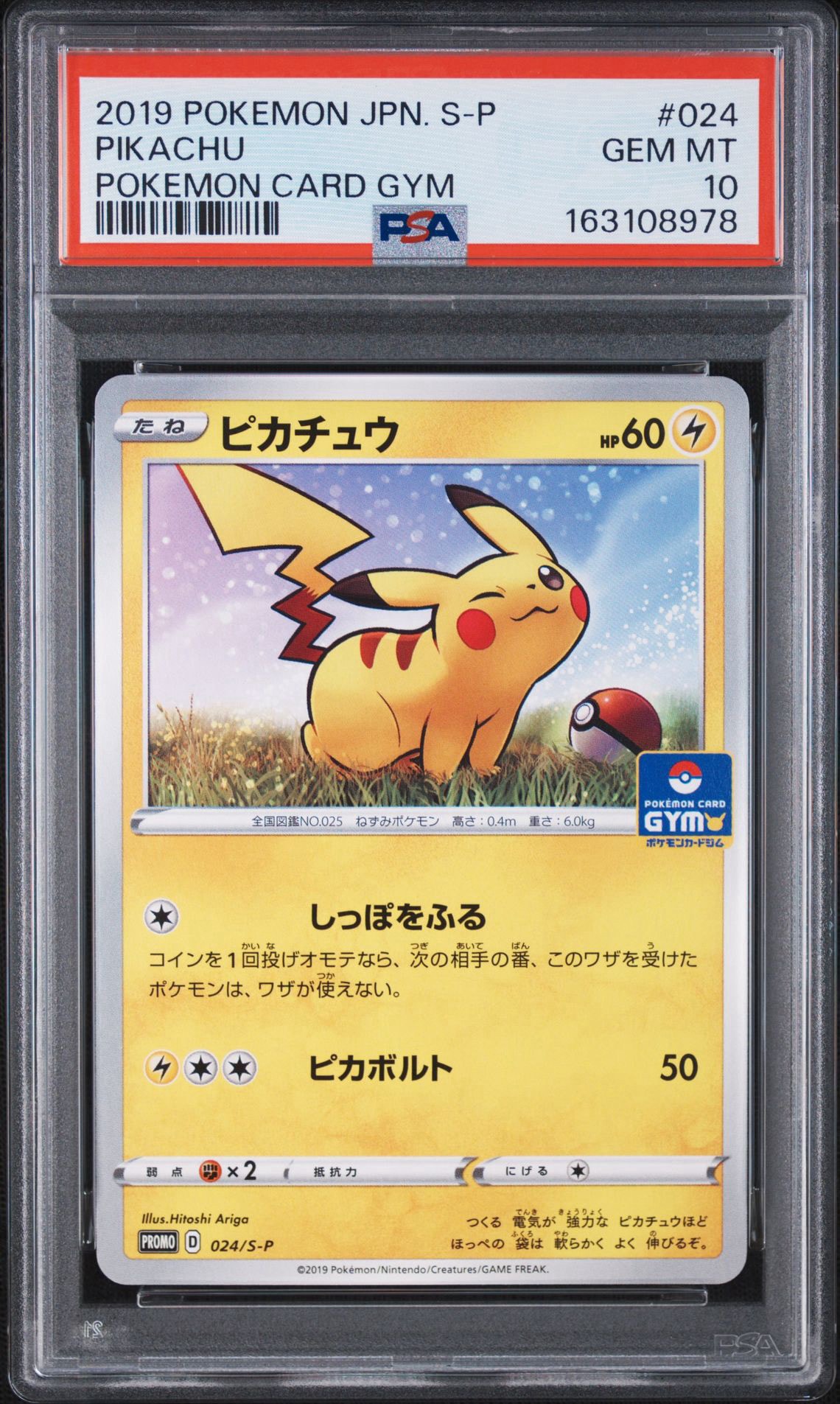 ピカチュウ: プロモ P [S-P 024](ポケモンカードゲーム ソード&シールド 「プロモカードパック 第1弾」)