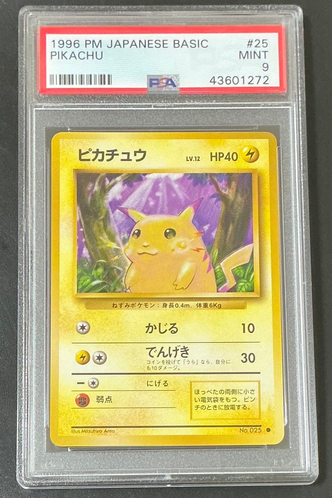 ピカチュウ ● : 旧裏 [PMCG1-2](拡張パック「ポケットモンスター カードゲーム」再販)