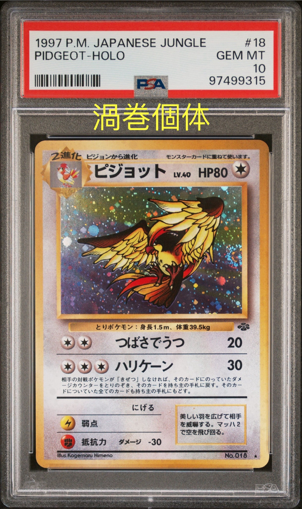ピジョット R: 旧裏 [PMCG2 No.018](拡張パック「ポケモンジャングル」)