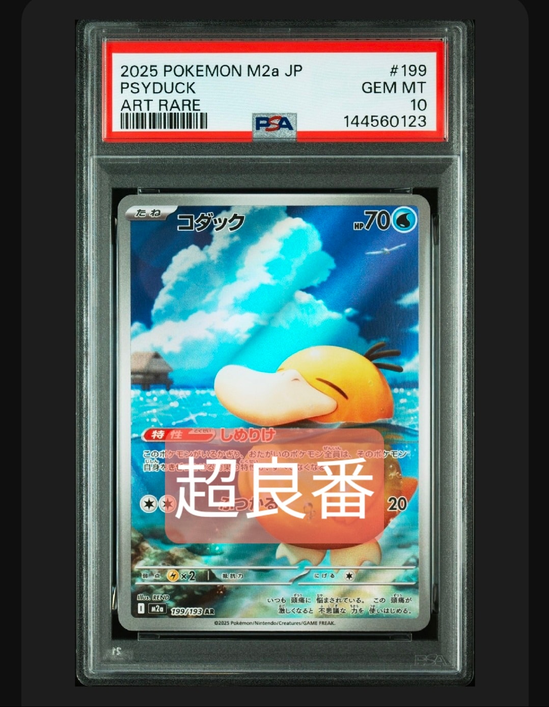 コダック AR [M2a 199/193](ハイクラスパック「MEGAドリームex」)