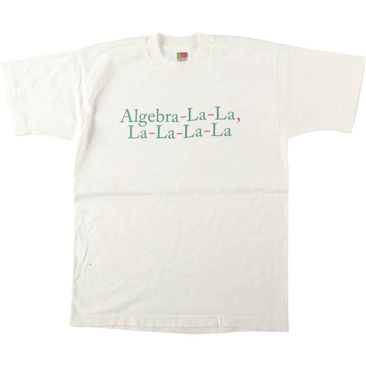 古着 90年代 フルーツオブザルーム FRUIT OF THE LOOM メッセージプリントTシャツ メンズL相当 ヴィンテージ/eaa661598