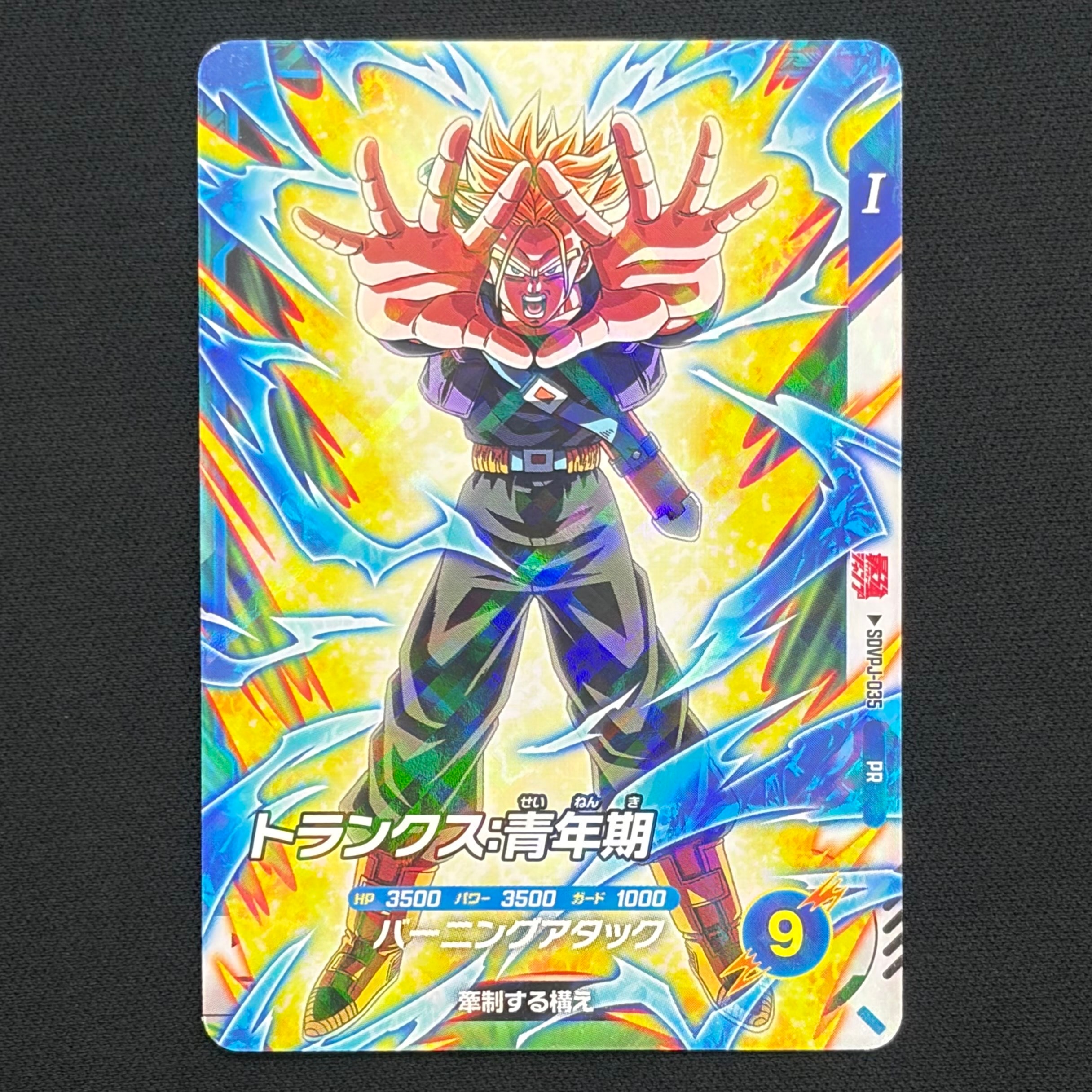 孫悟空 PR [SDVP-024](プロモーションカード「ドラゴンボール