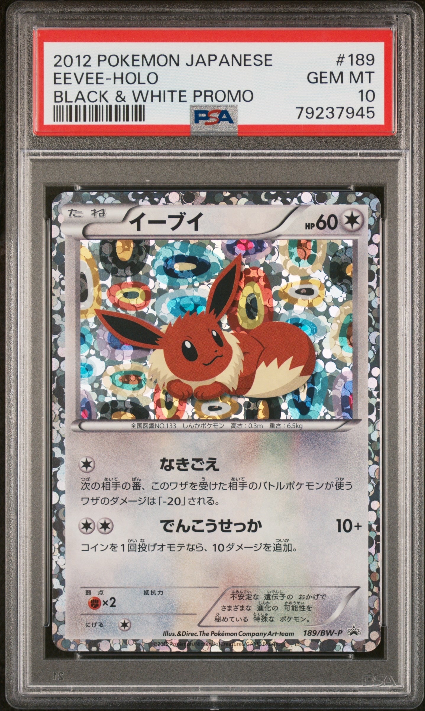 イーブイ P [BW-P 189/BW-P](プロモーションカード「コレクション