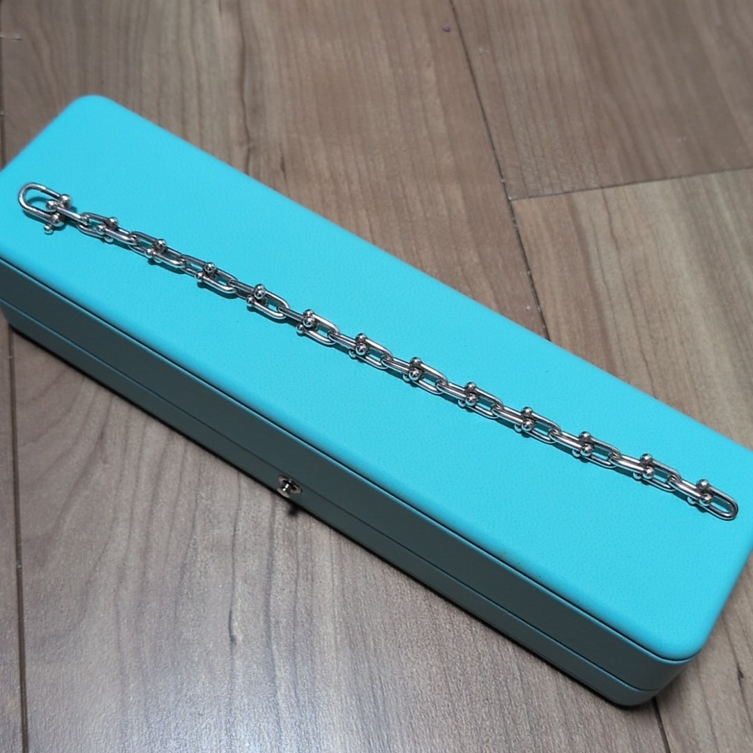 Tiffany & Co. HardWear Small Link Bracelet "Silver"